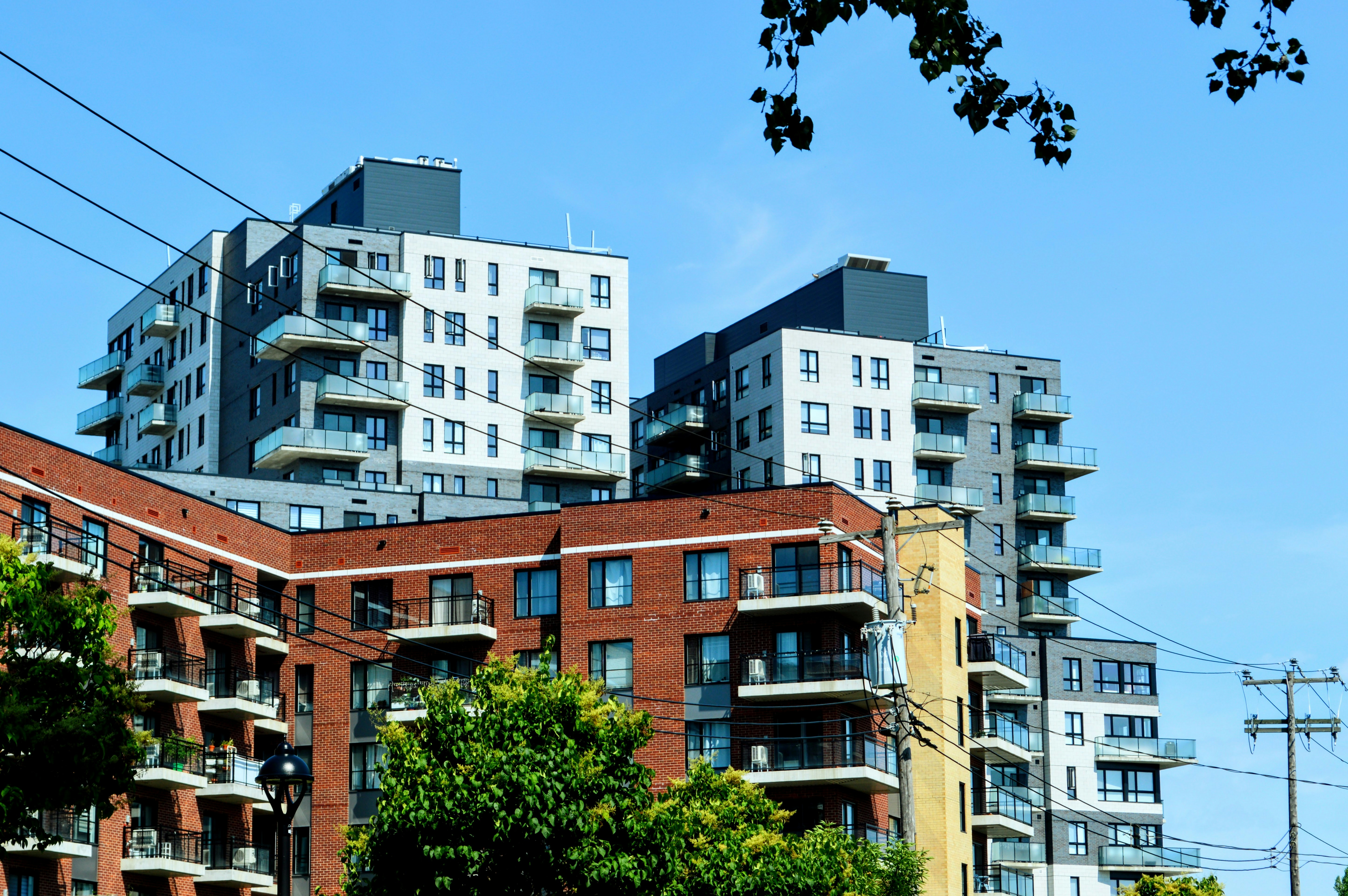 a row of apartment buildings with trees in front of them