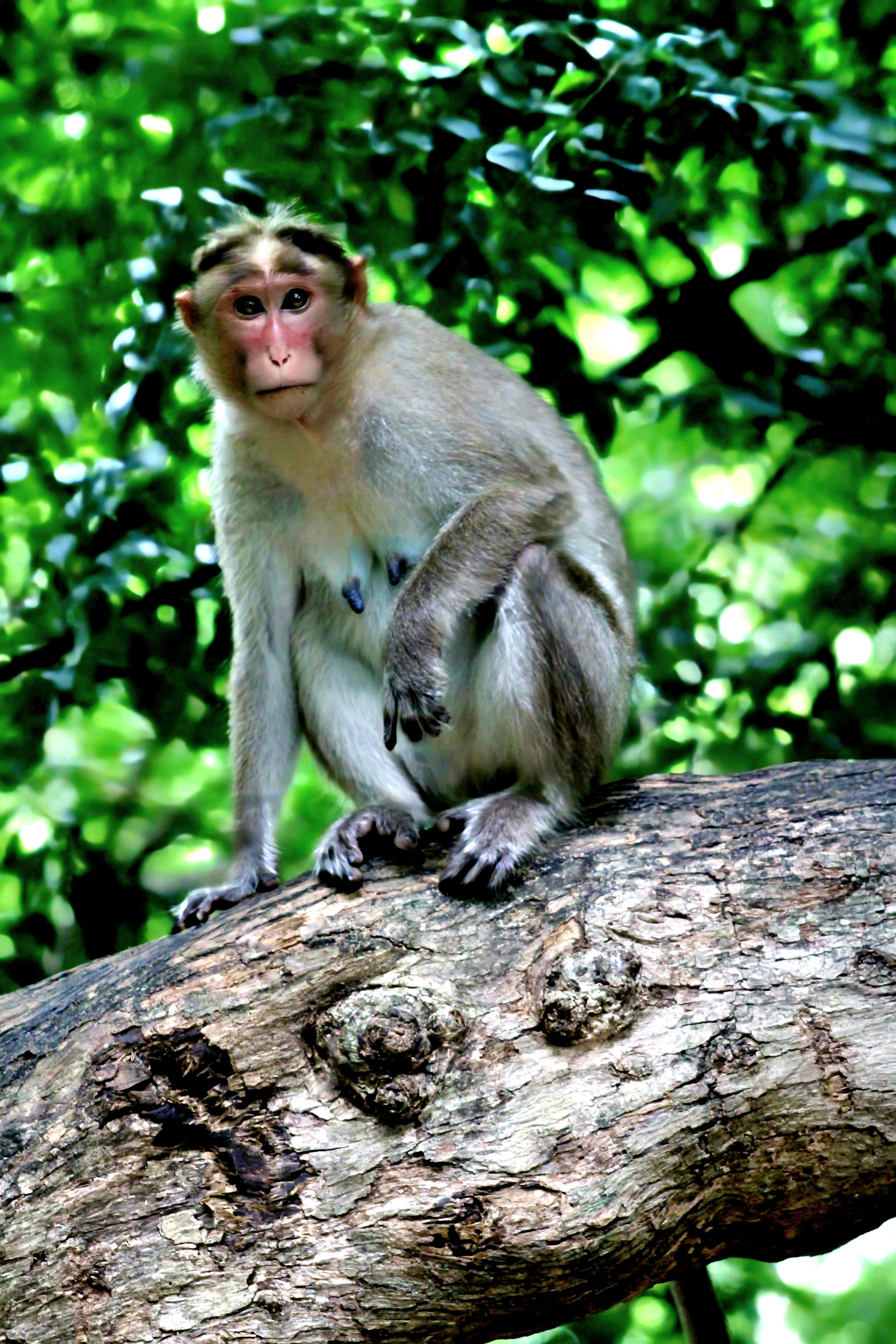 Photo by kailashmaratha55