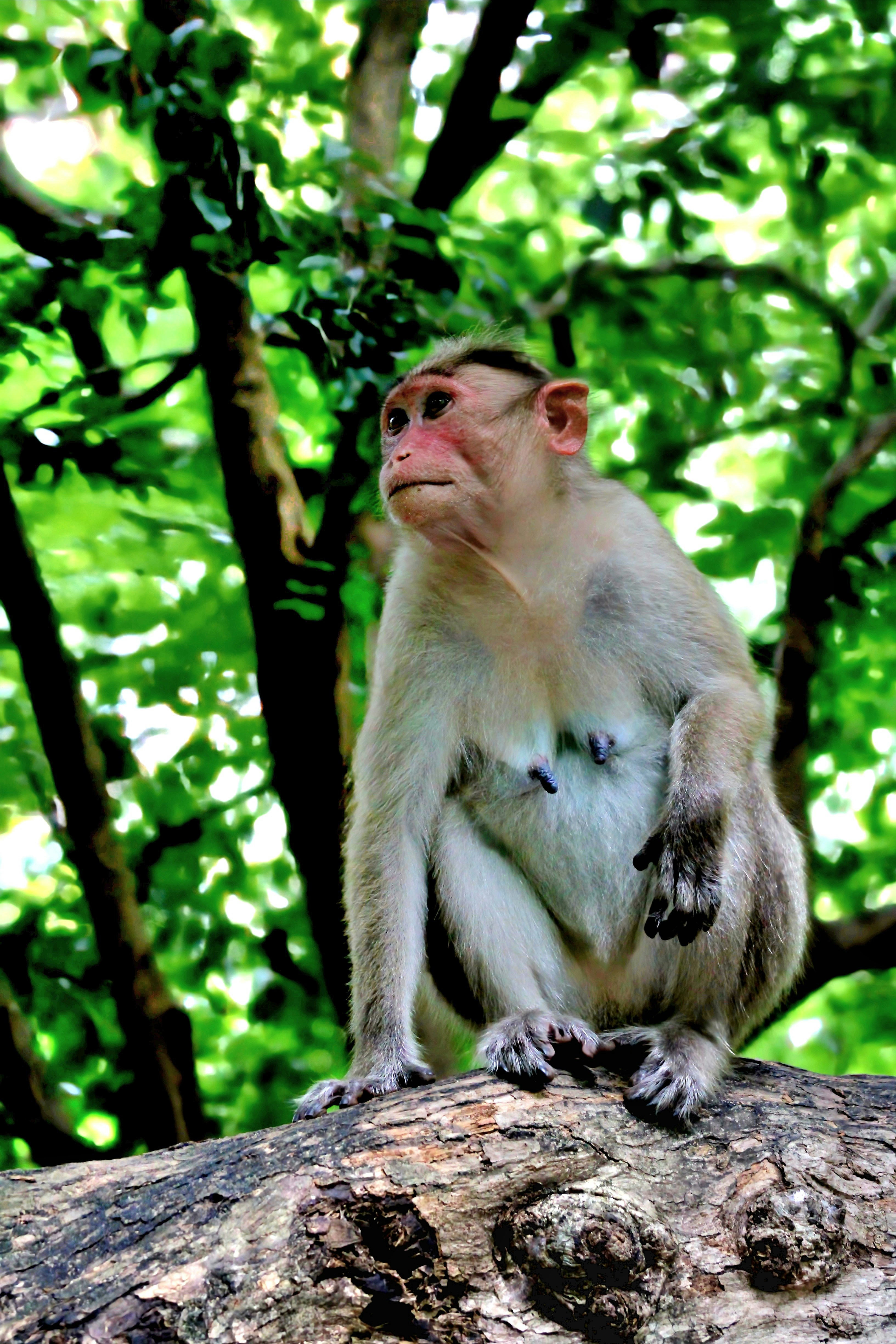 Photo by kailashmaratha55