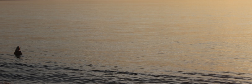 A dynamic triathlete swimming in a serene lake during sunrise.