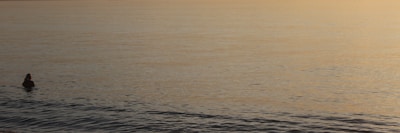 A peaceful early morning swim with the sun rising over the water.