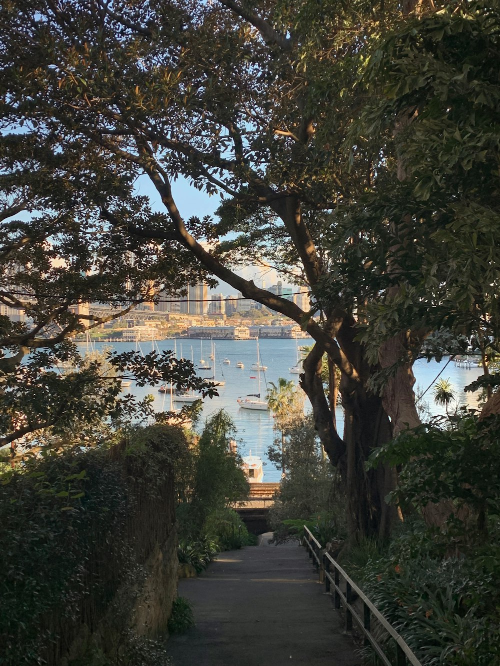 a path leading to a large body of water