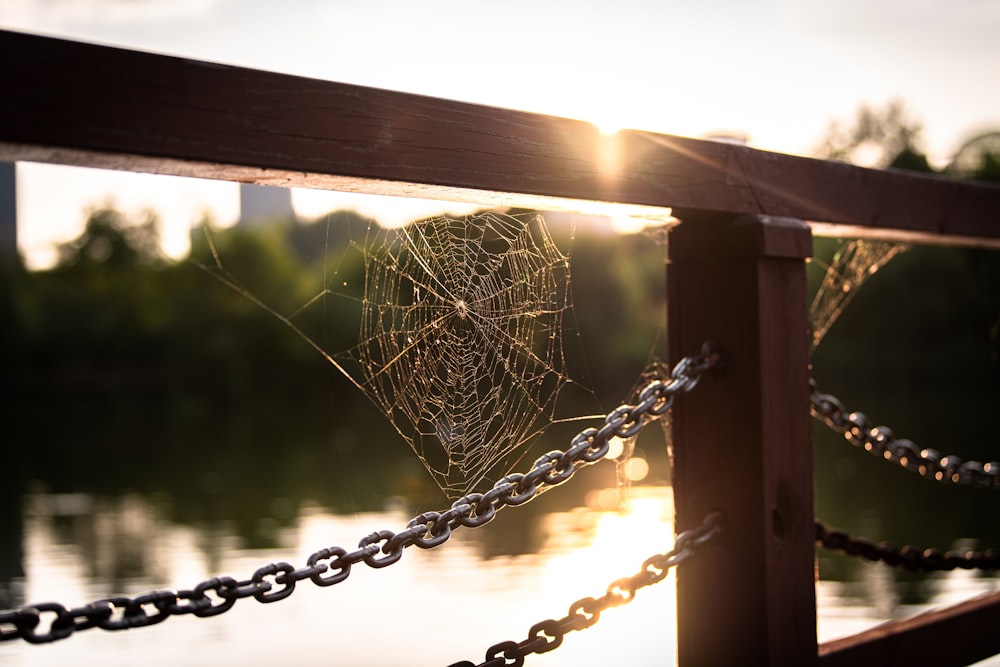 a spider web hanging from a wooden fence