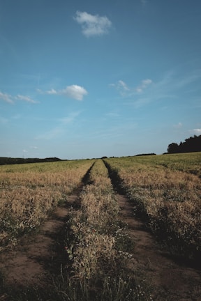 A wide, open plot of land with clear boundary markers under a bright blue sky in Meerut.