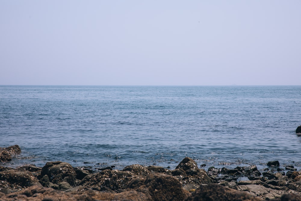 a large body of water sitting next to a rocky shore