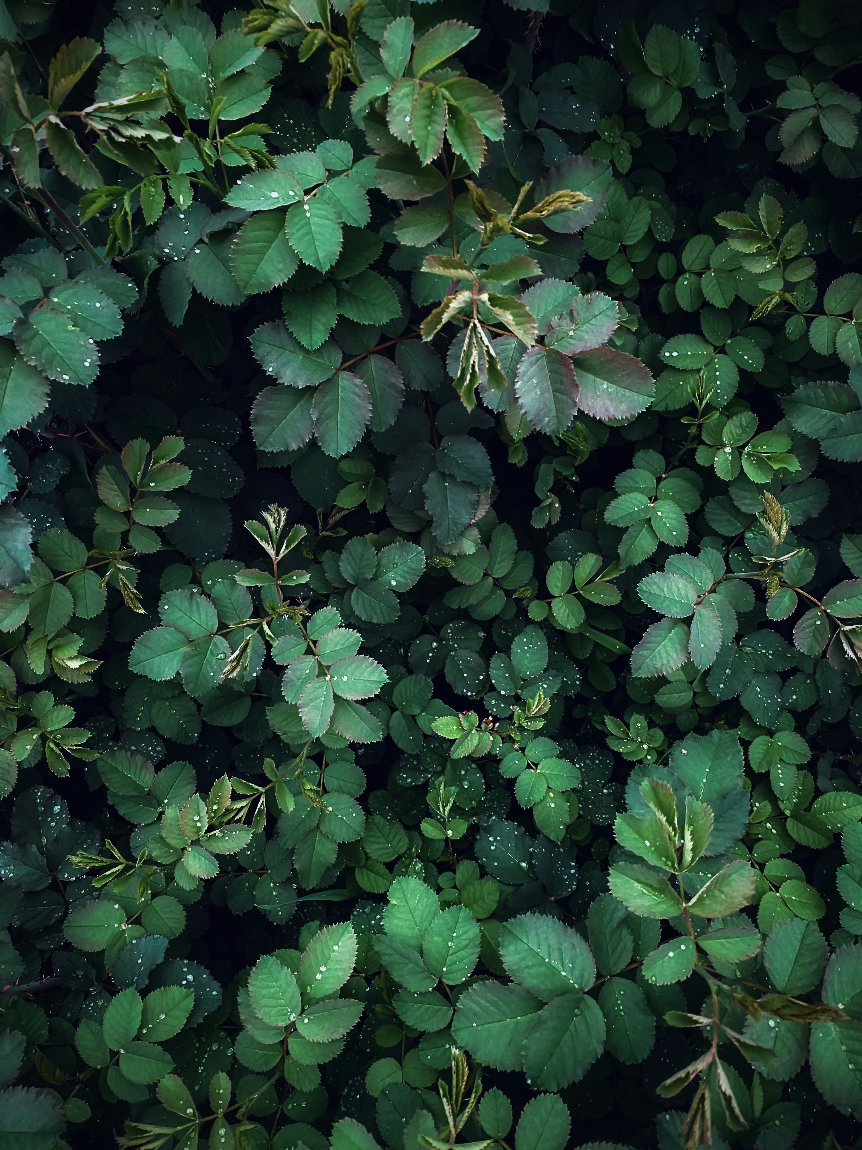 Photo by eugene_golovesov