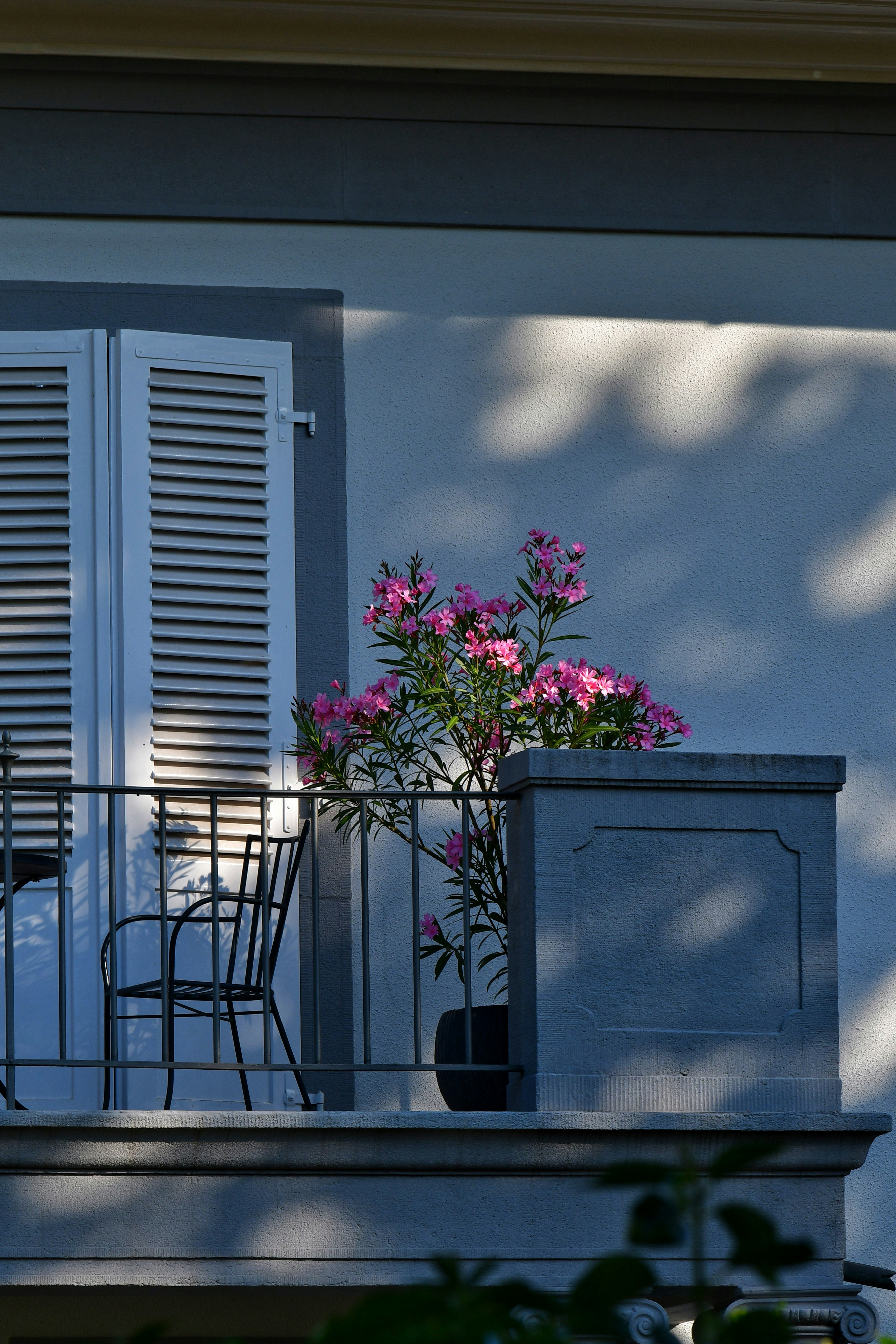 Photo by pedrino5_official