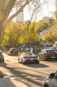 A family happily driving their car down a sunny suburban street.