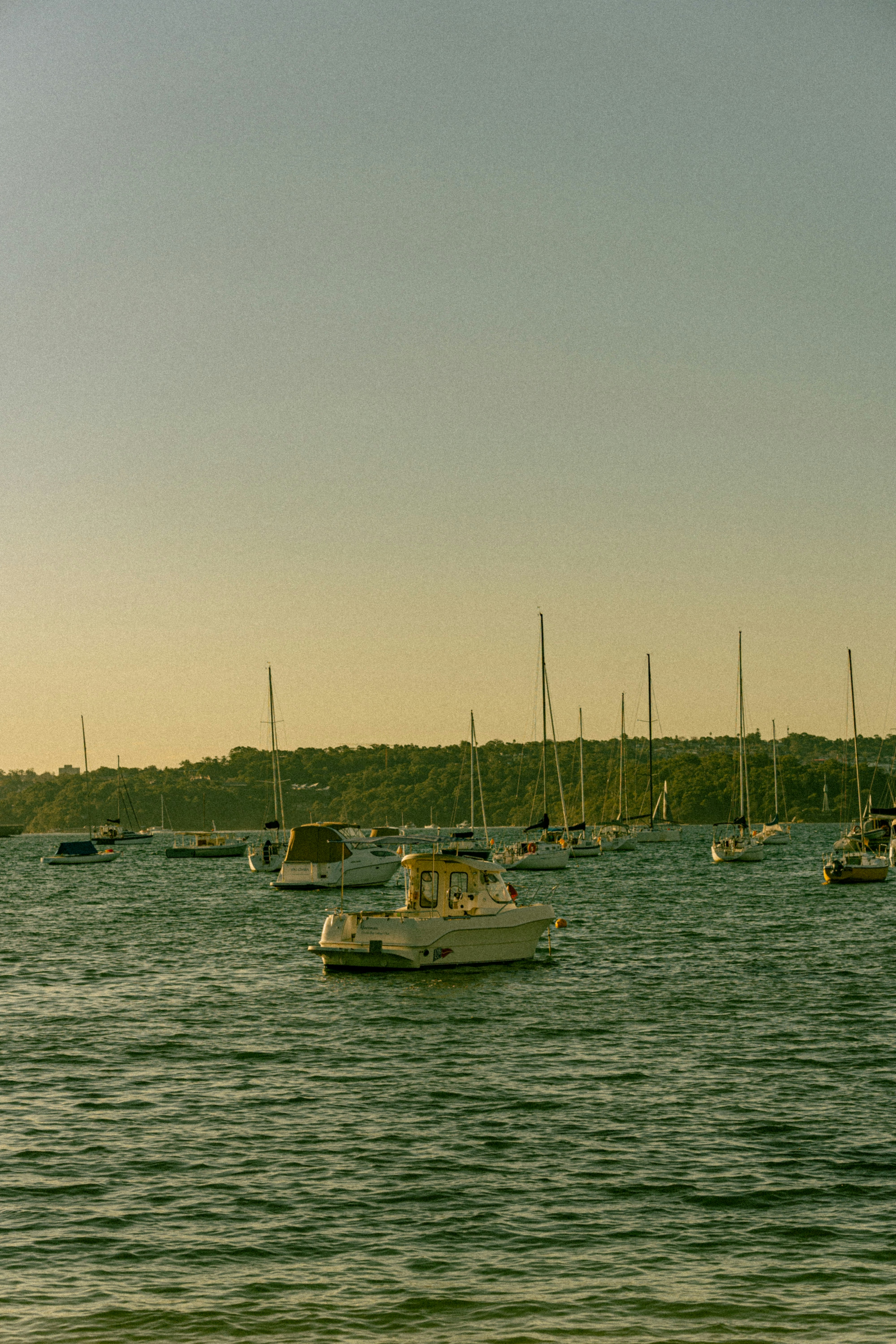 Photo by moon_the_boi