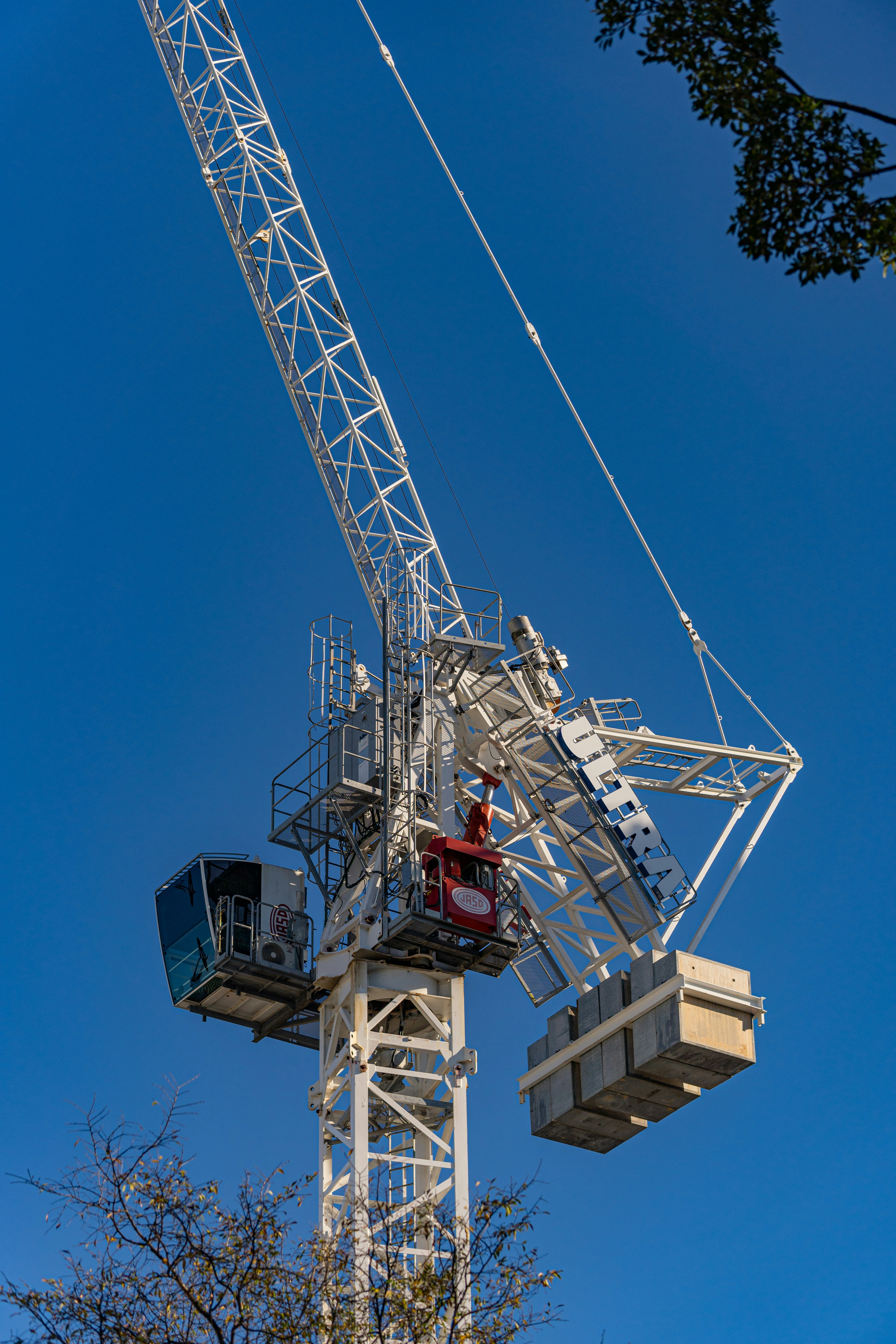 Photo by moon_the_boi