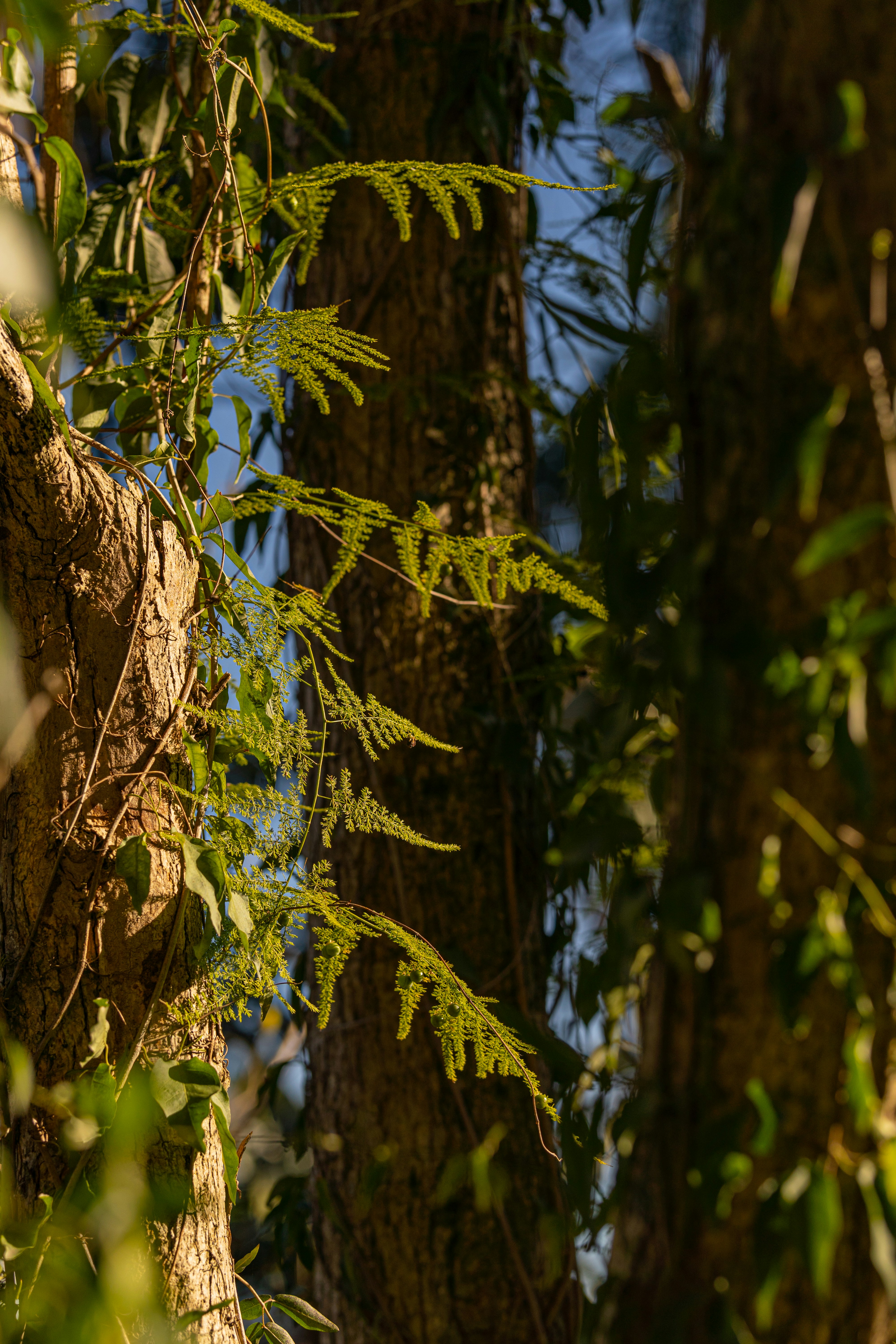 Photo by moon_the_boi