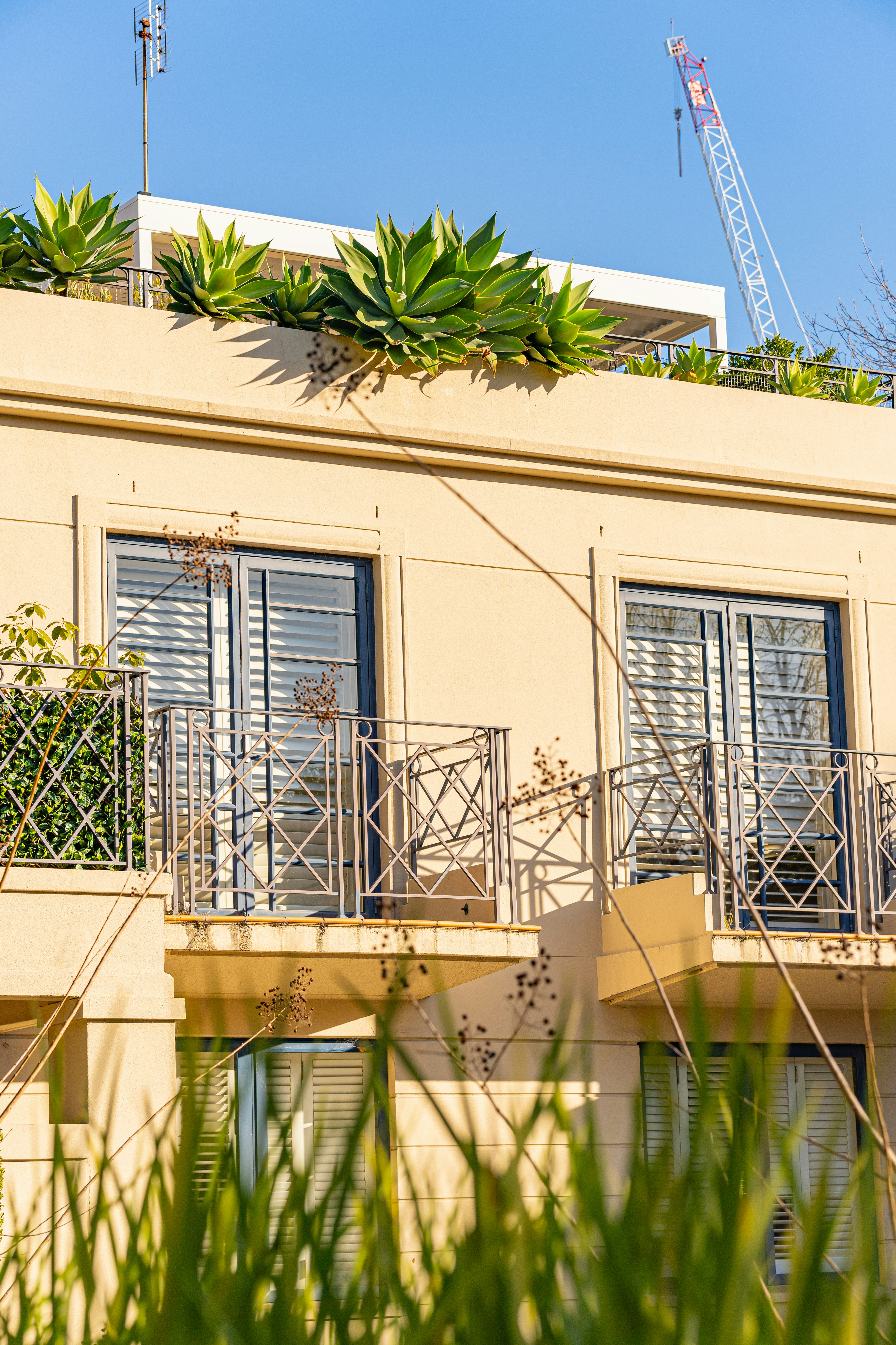 Photo by moon_the_boi