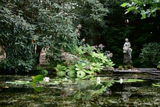 Outdoor garden scene with blooming purple lotuses and a small stone bench inviting quiet reflection.