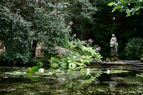 Outdoor garden scene with blooming purple lotuses and a small stone bench inviting quiet reflection.