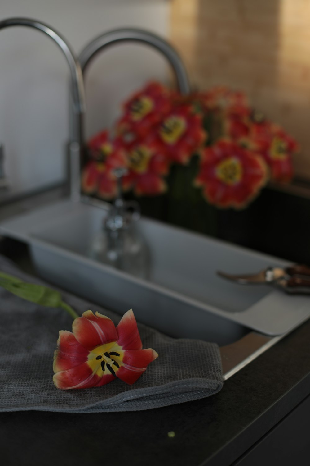 a flower sitting on top of a kitchen counter next to a sink