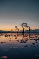 A tranquil outdoor scene with a person silently reflecting at sunrise.