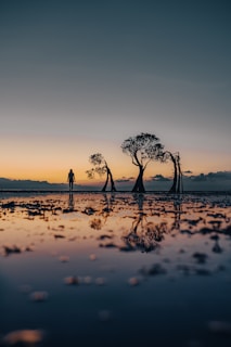 A tranquil outdoor scene with a person silently reflecting at sunrise.