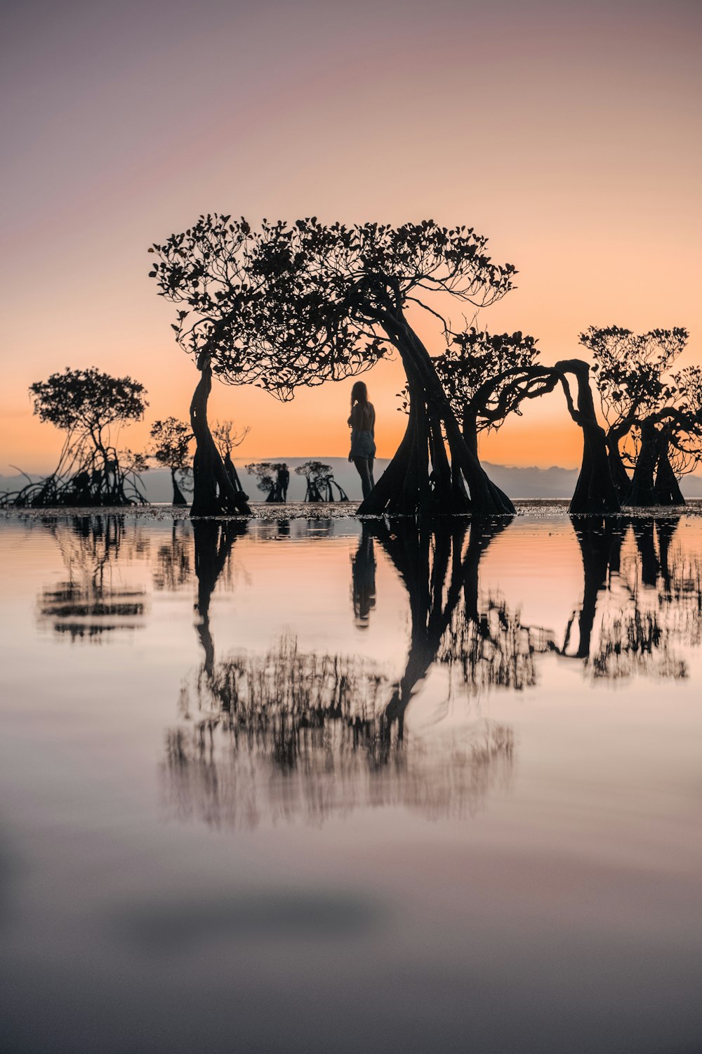 a person standing in a body of water surrounded by trees