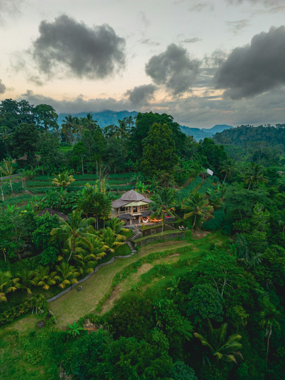 a house in the middle of a lush green forest