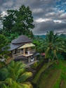 a house in the middle of a lush green forest