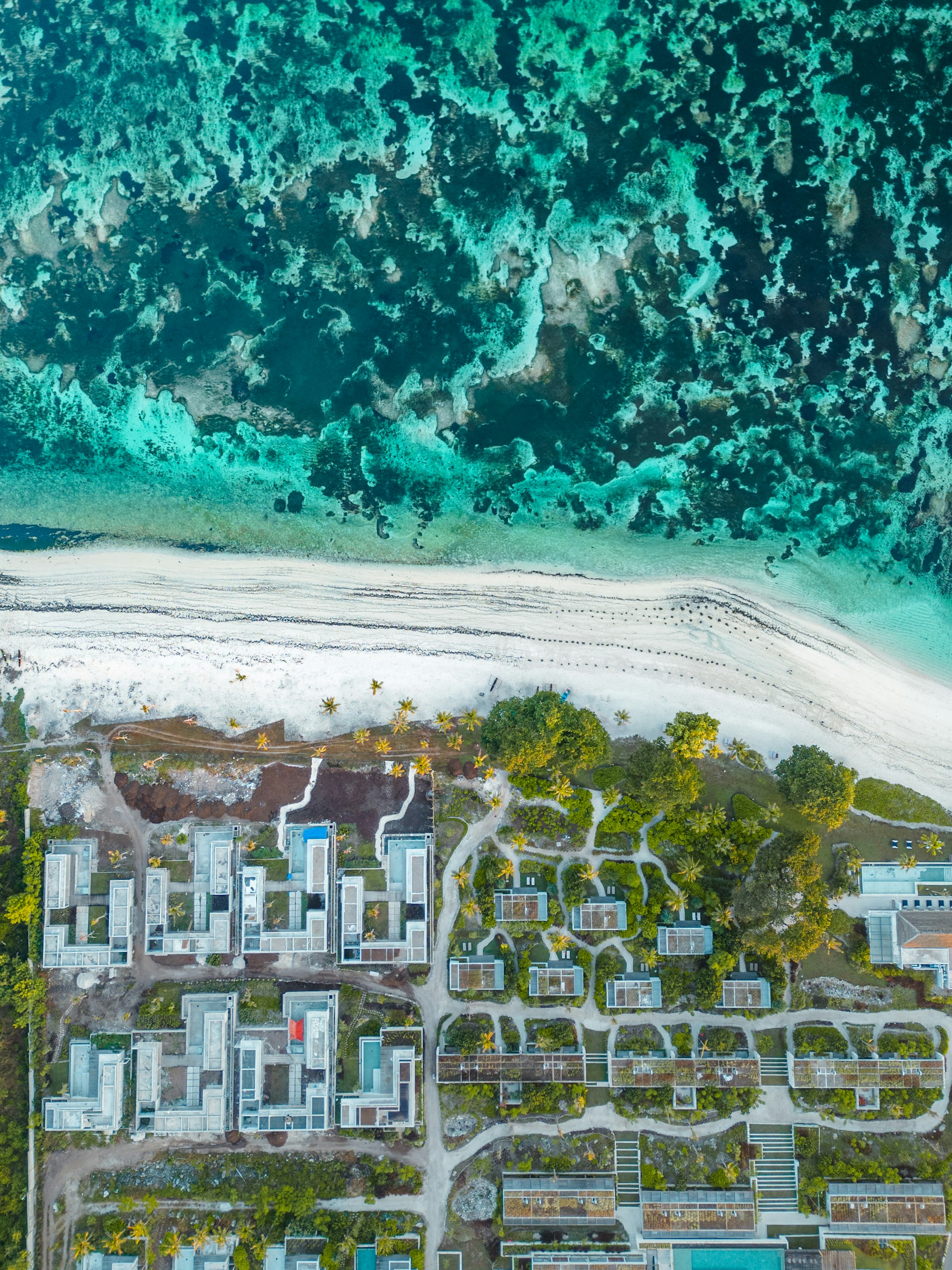 black and white bed linen