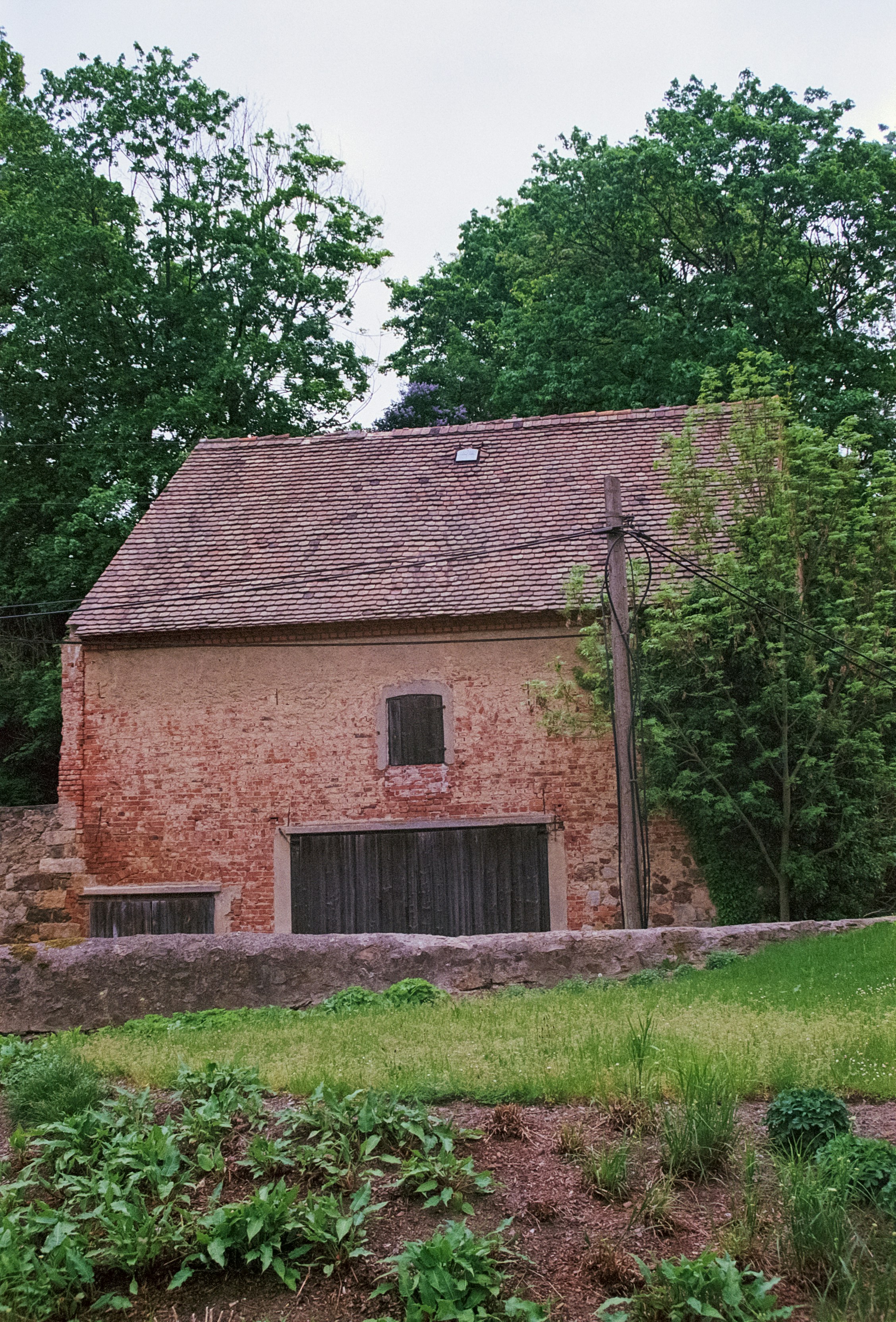 Photo by artistseyes