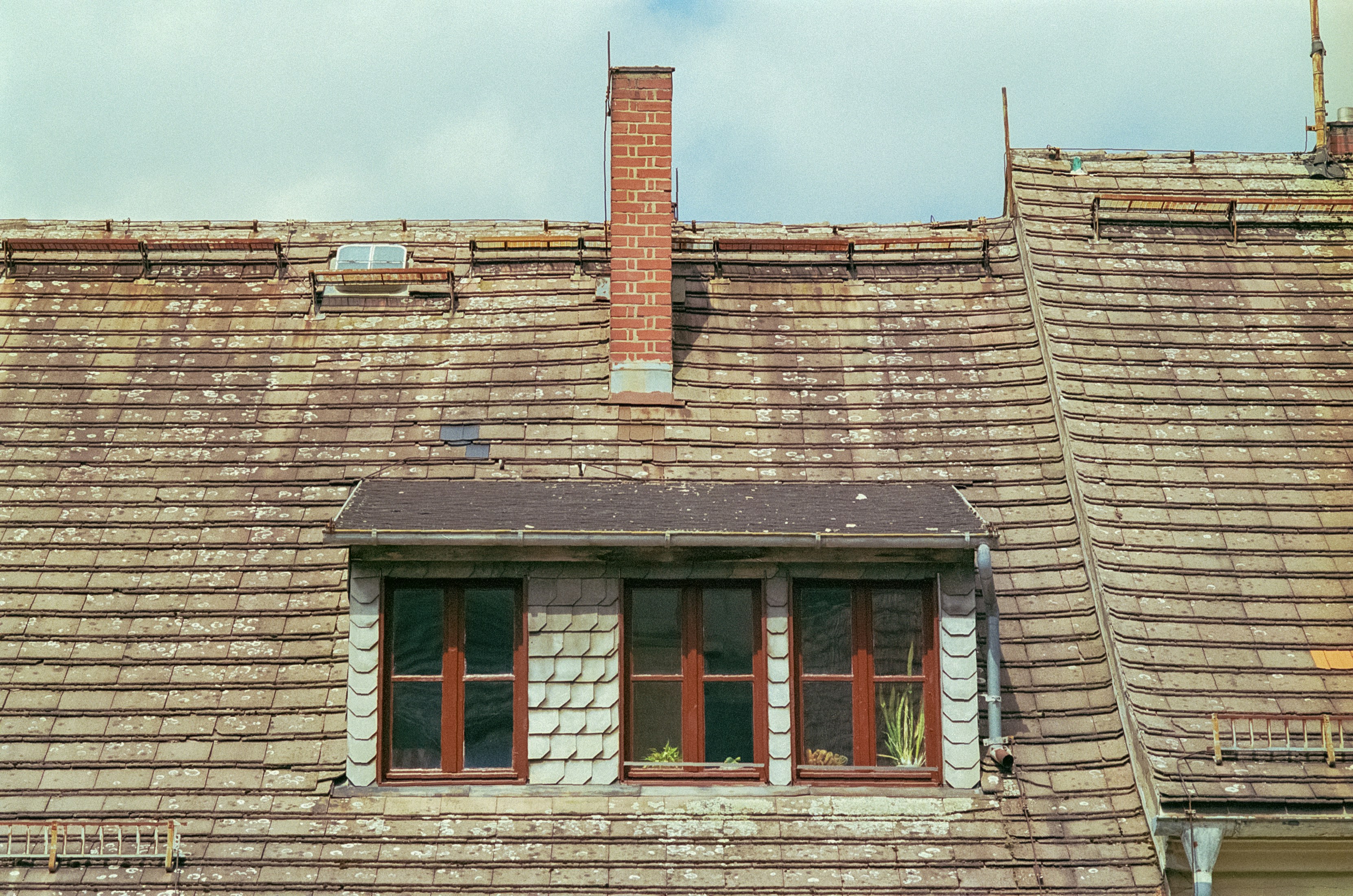 Photo by artistseyes