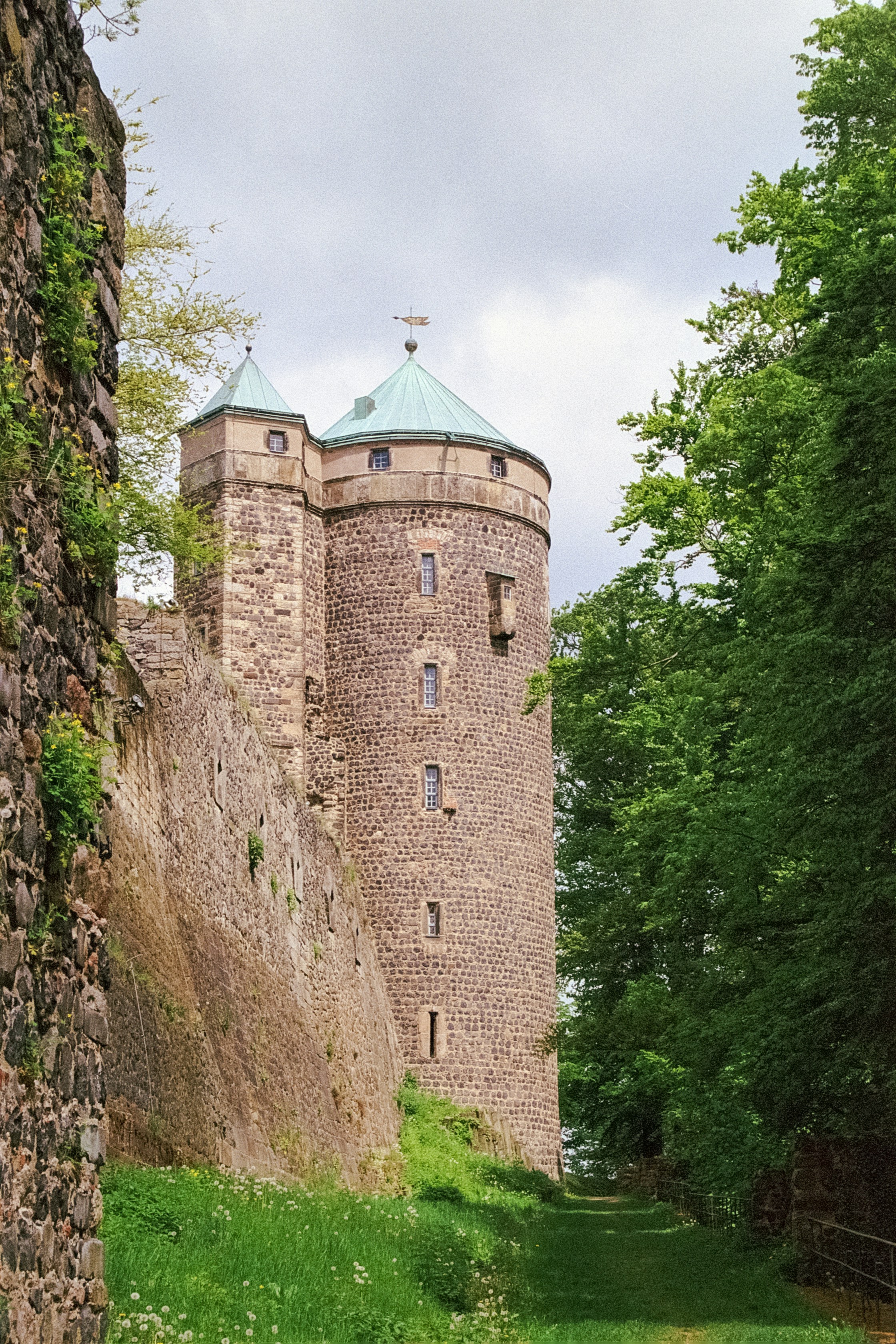 Photo by artistseyes