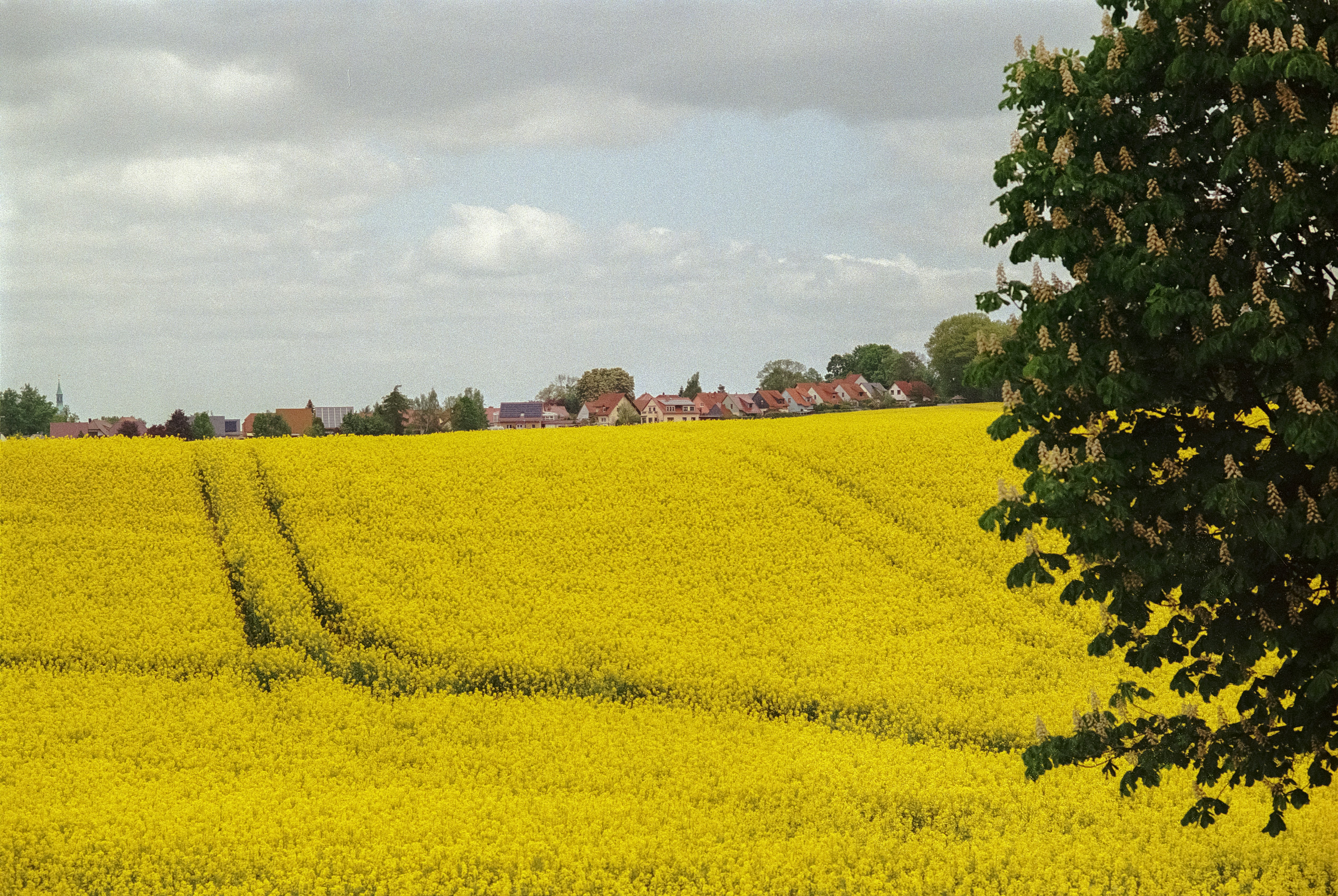 Photo by artistseyes