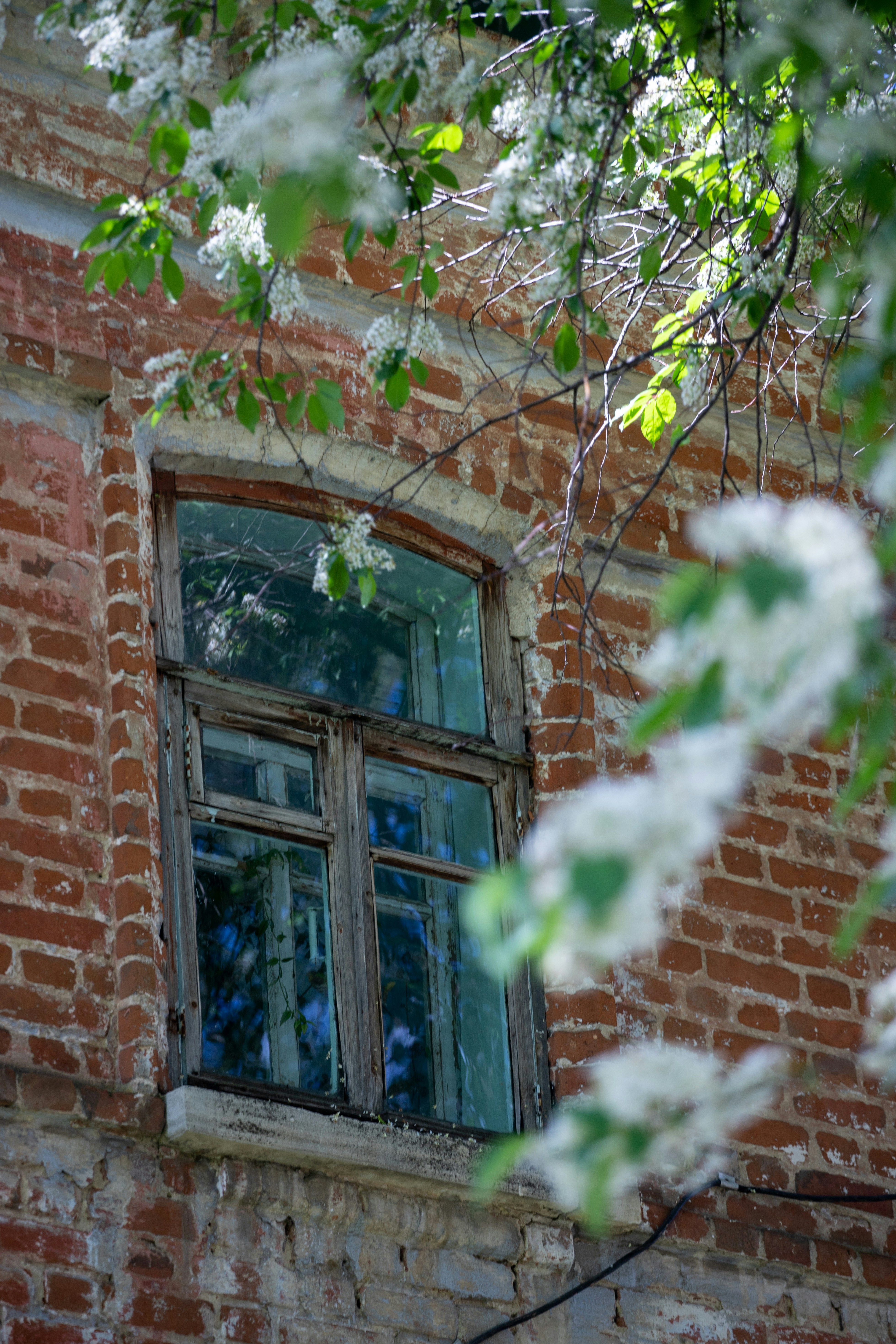 Photo by lipetskaya_zemlya