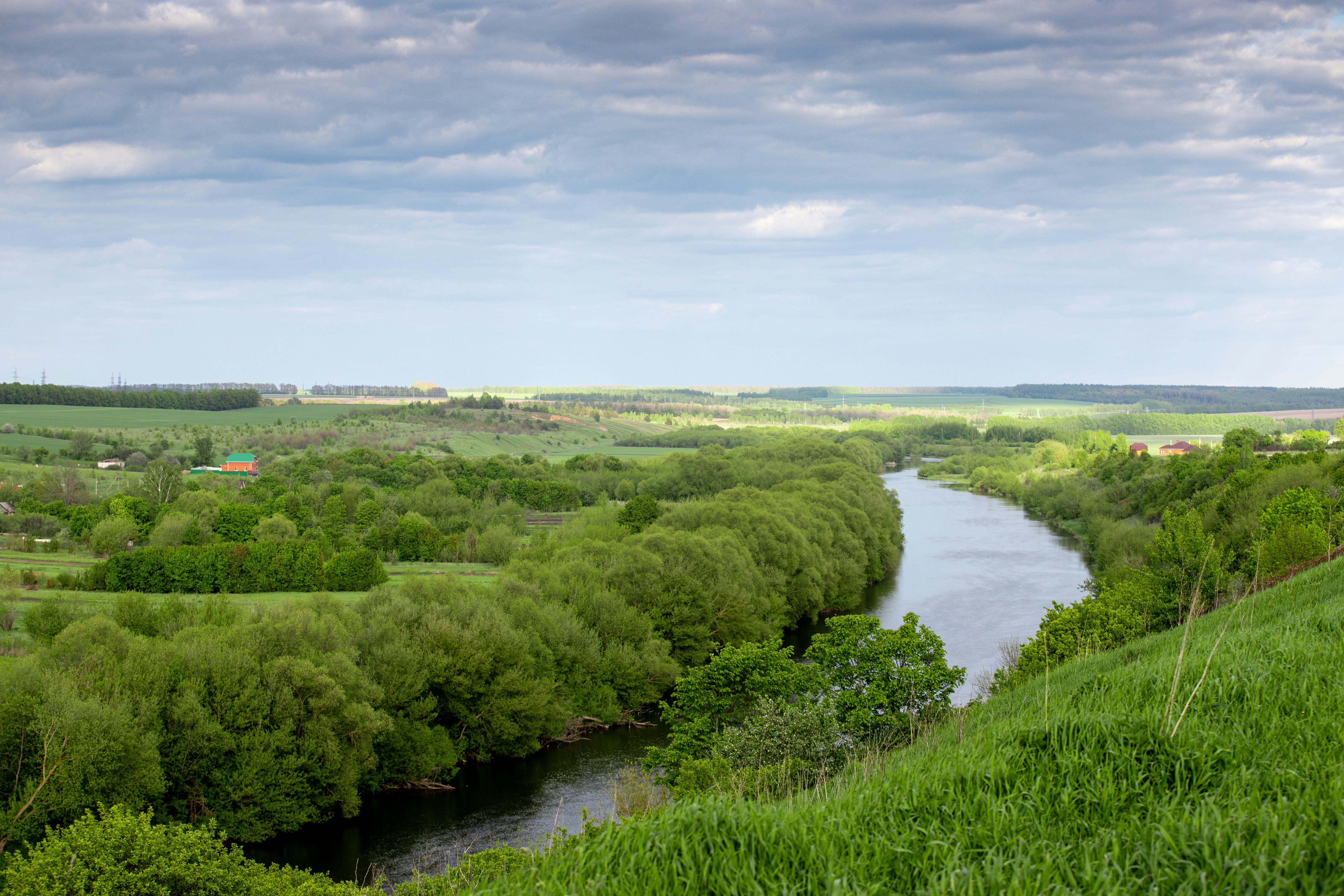 Photo by lipetskaya_zemlya