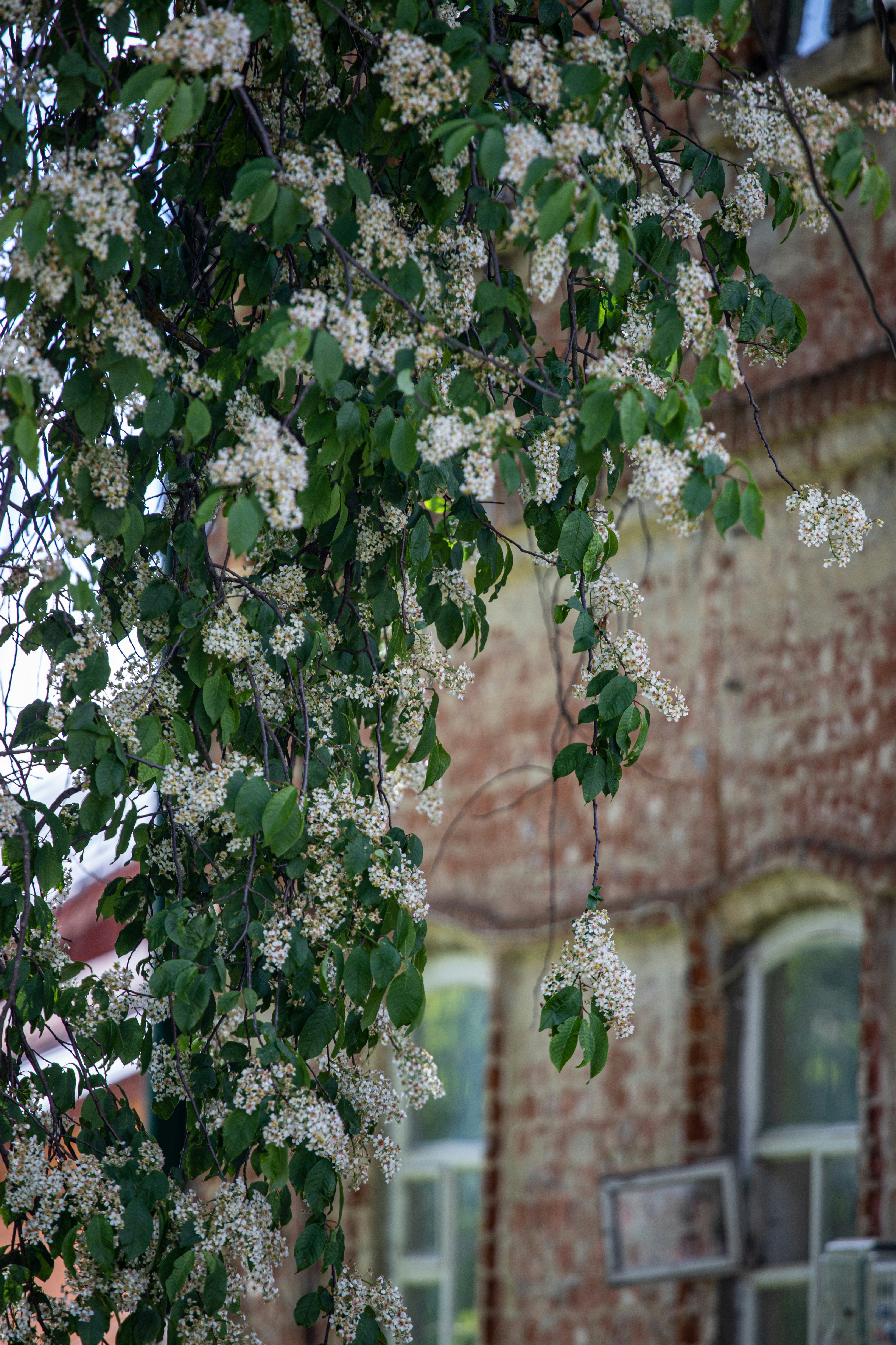 Photo by lipetskaya_zemlya