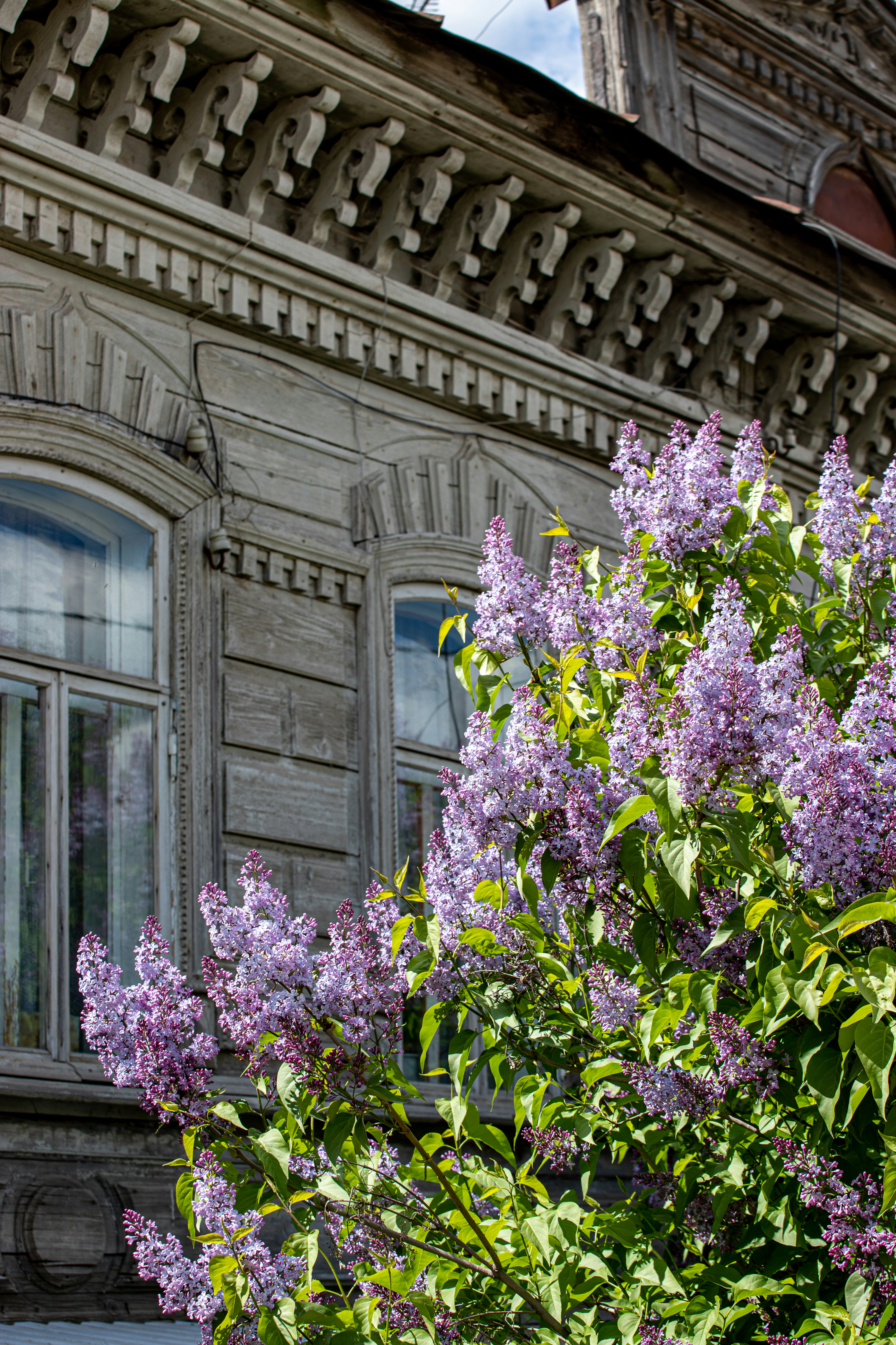 Photo by lipetskaya_zemlya