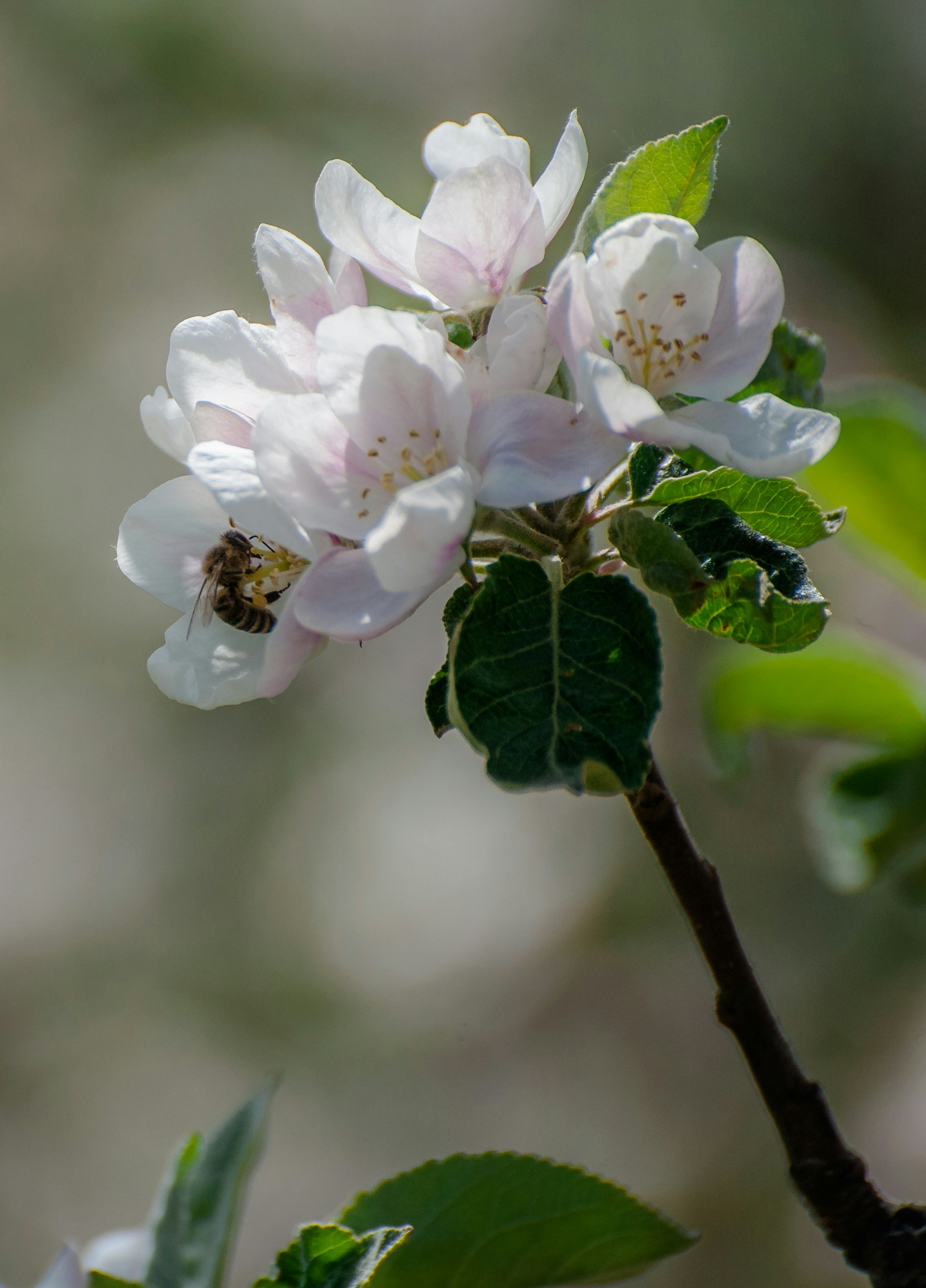 Photo by lipetskaya_zemlya