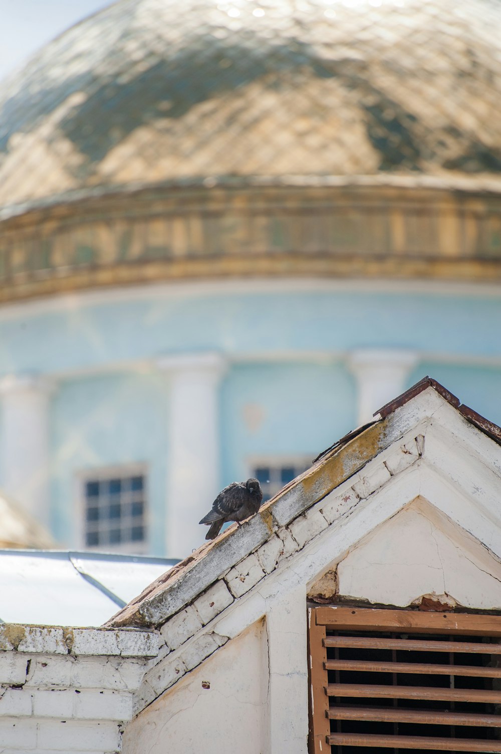 a bird sitting on the roof of a building