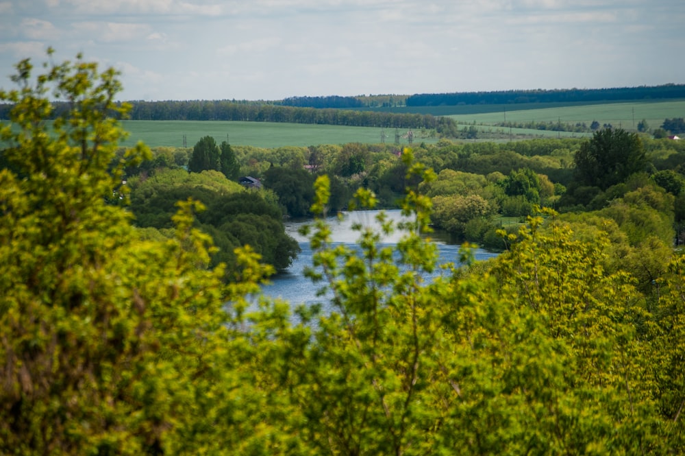 a river running through a lush green forest