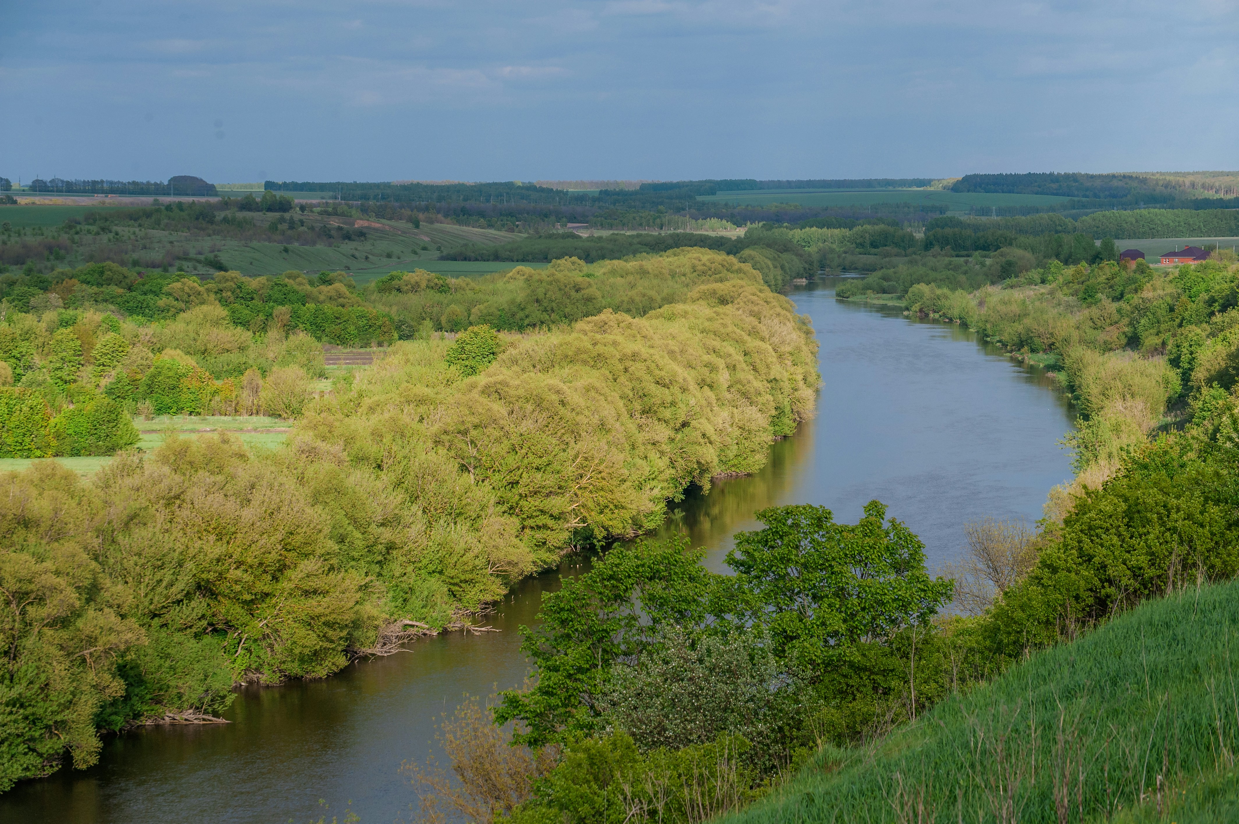 Photo by lipetskaya_zemlya