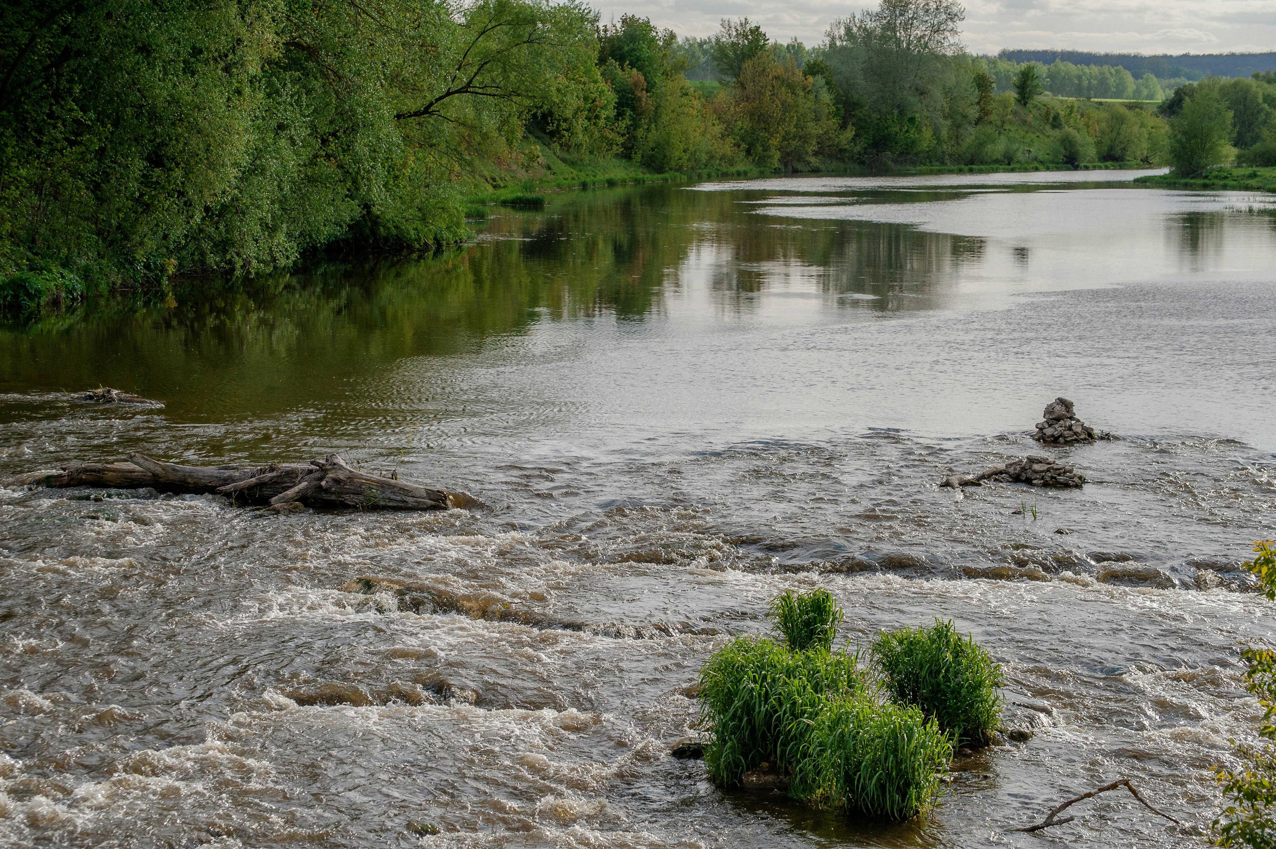 Photo by lipetskaya_zemlya