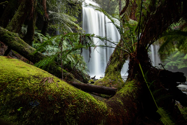 An AI-crafted nature scene with a majestic waterfall surrounded by lush, otherworldly plants.