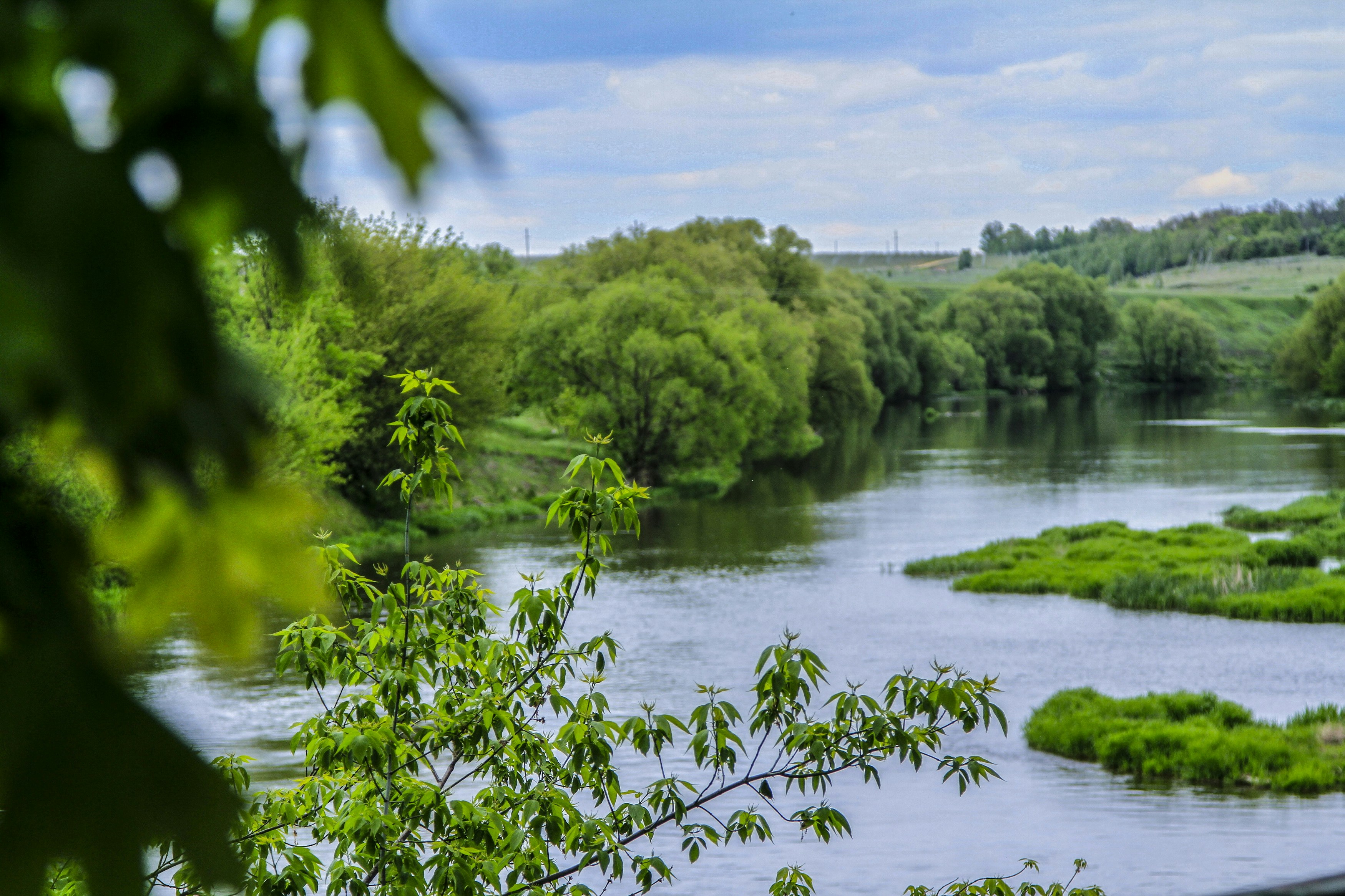 Photo by lipetskaya_zemlya