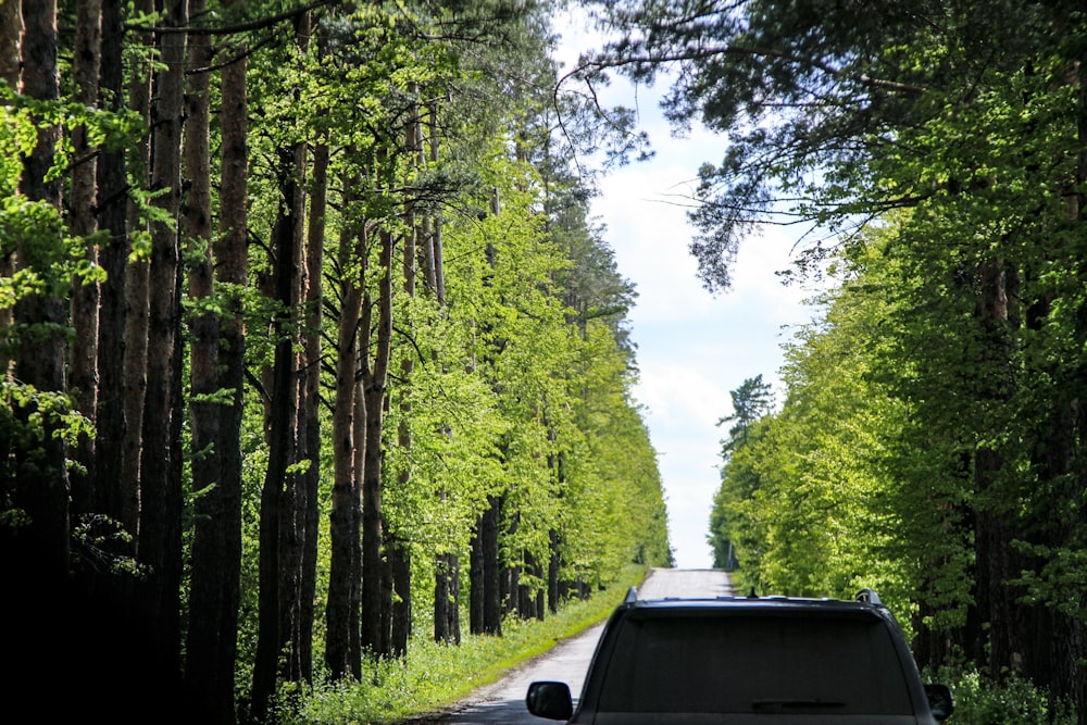 a car driving down a tree lined road