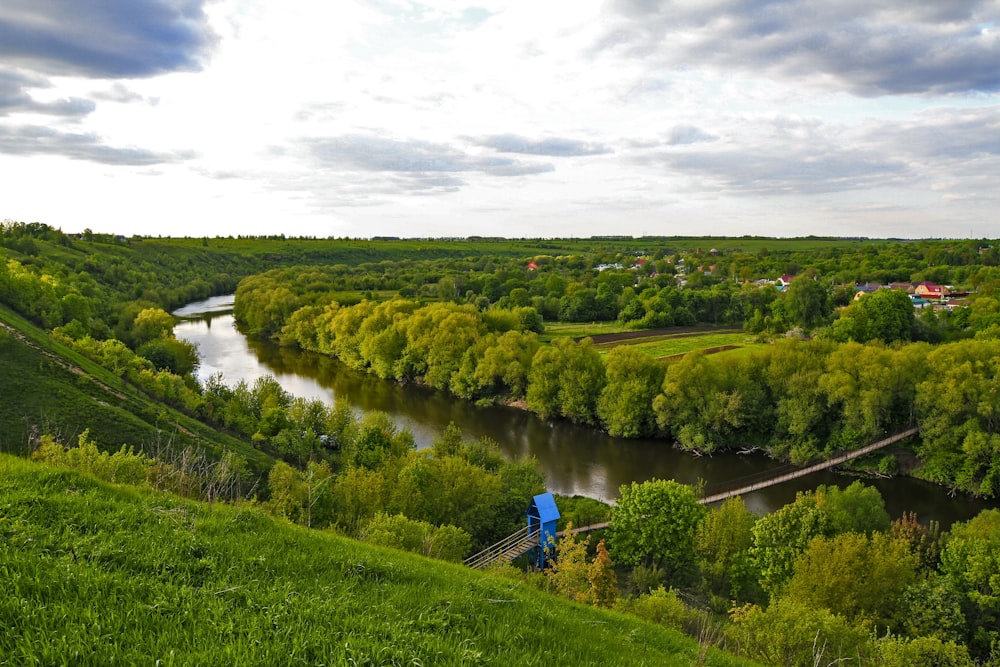 a river running through a lush green forest