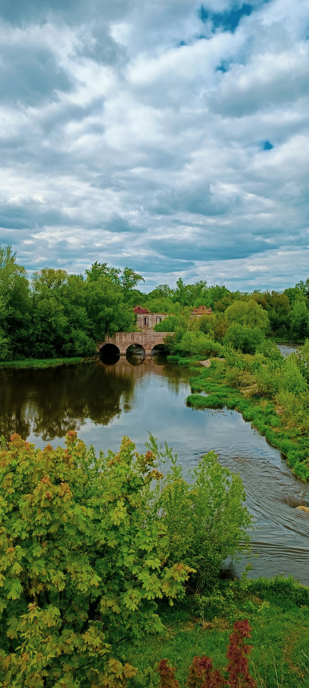 a river running through a lush green forest