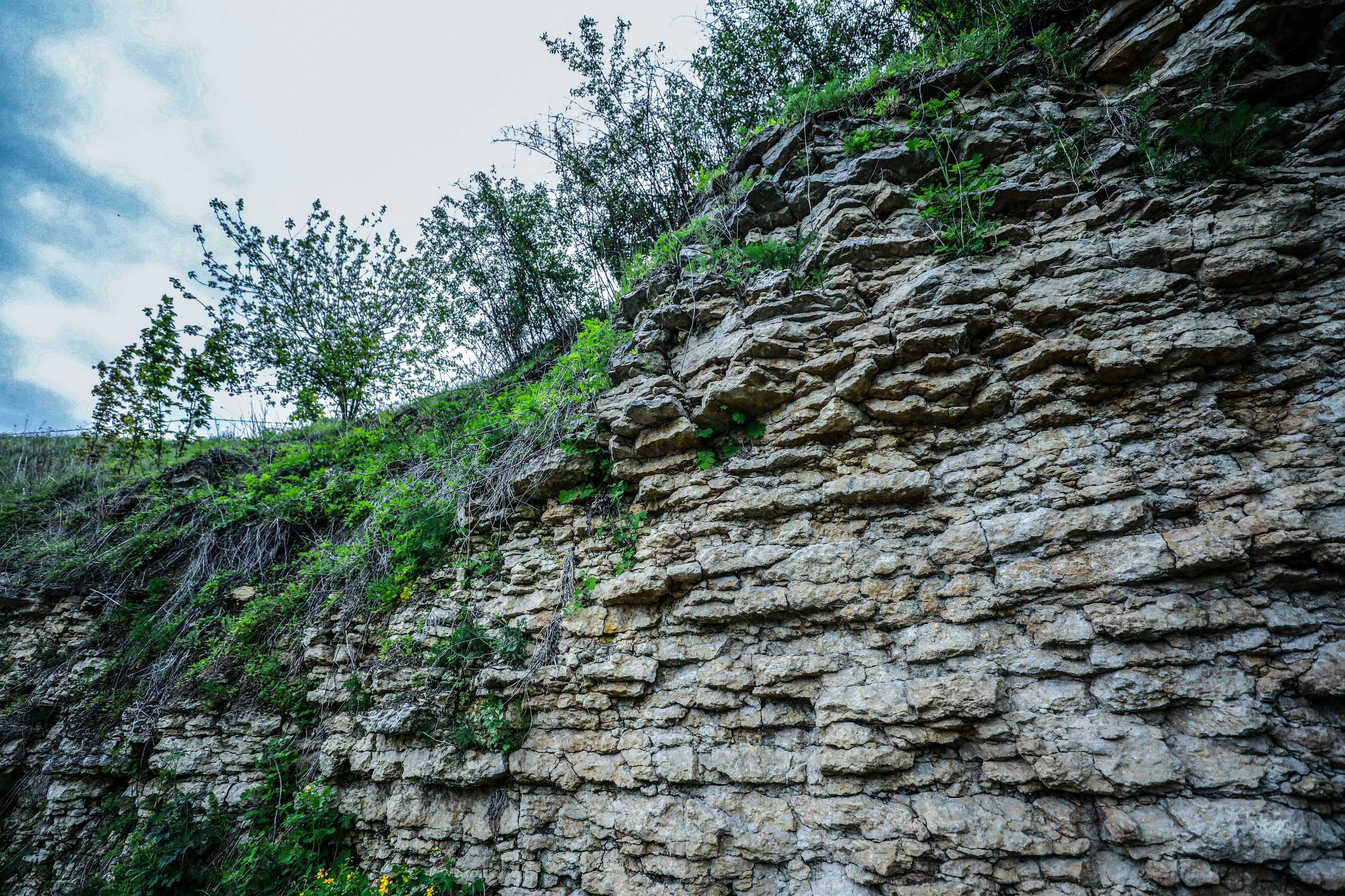 Photo by lipetskaya_zemlya