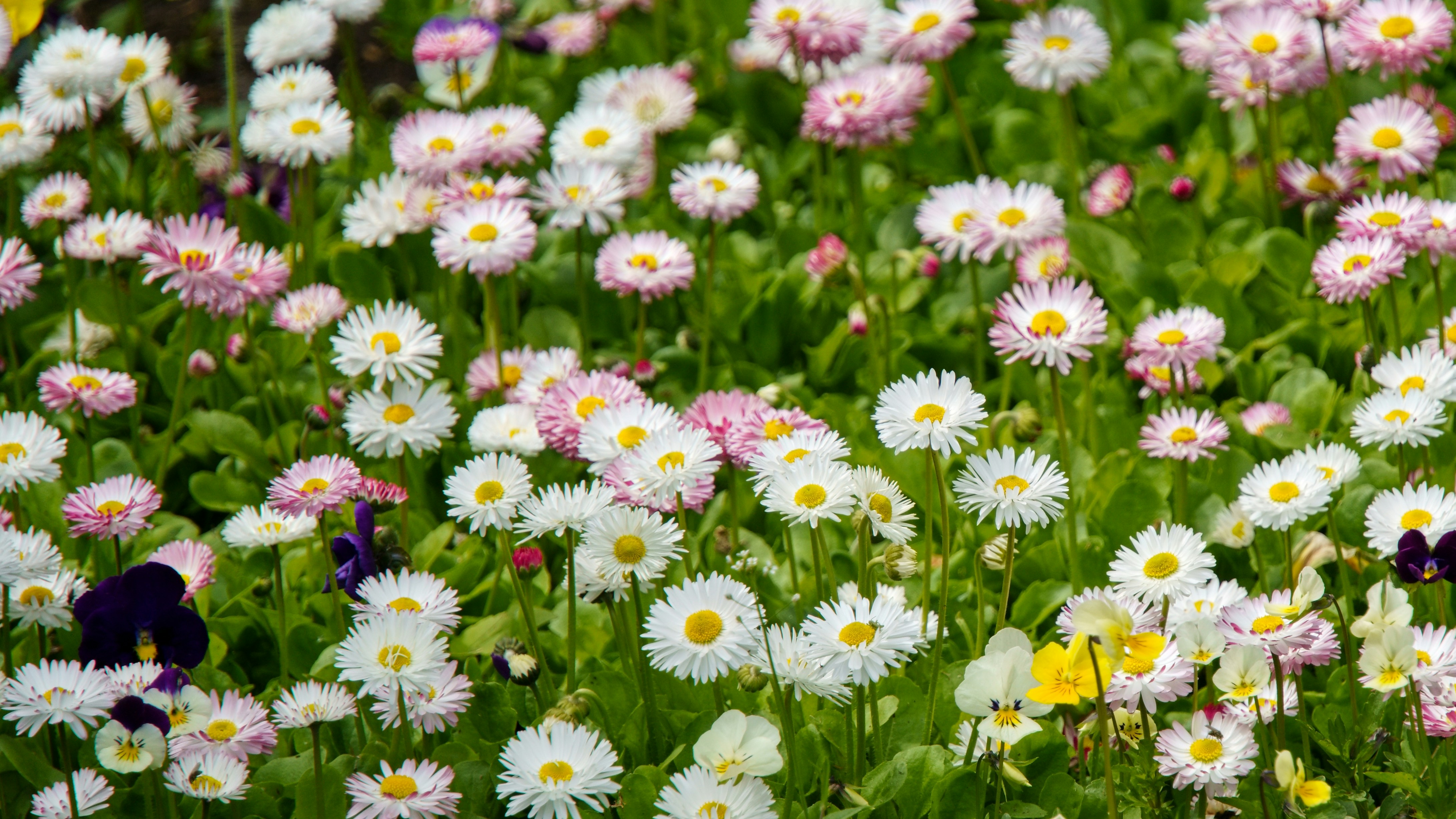 Photo by lipetskaya_zemlya