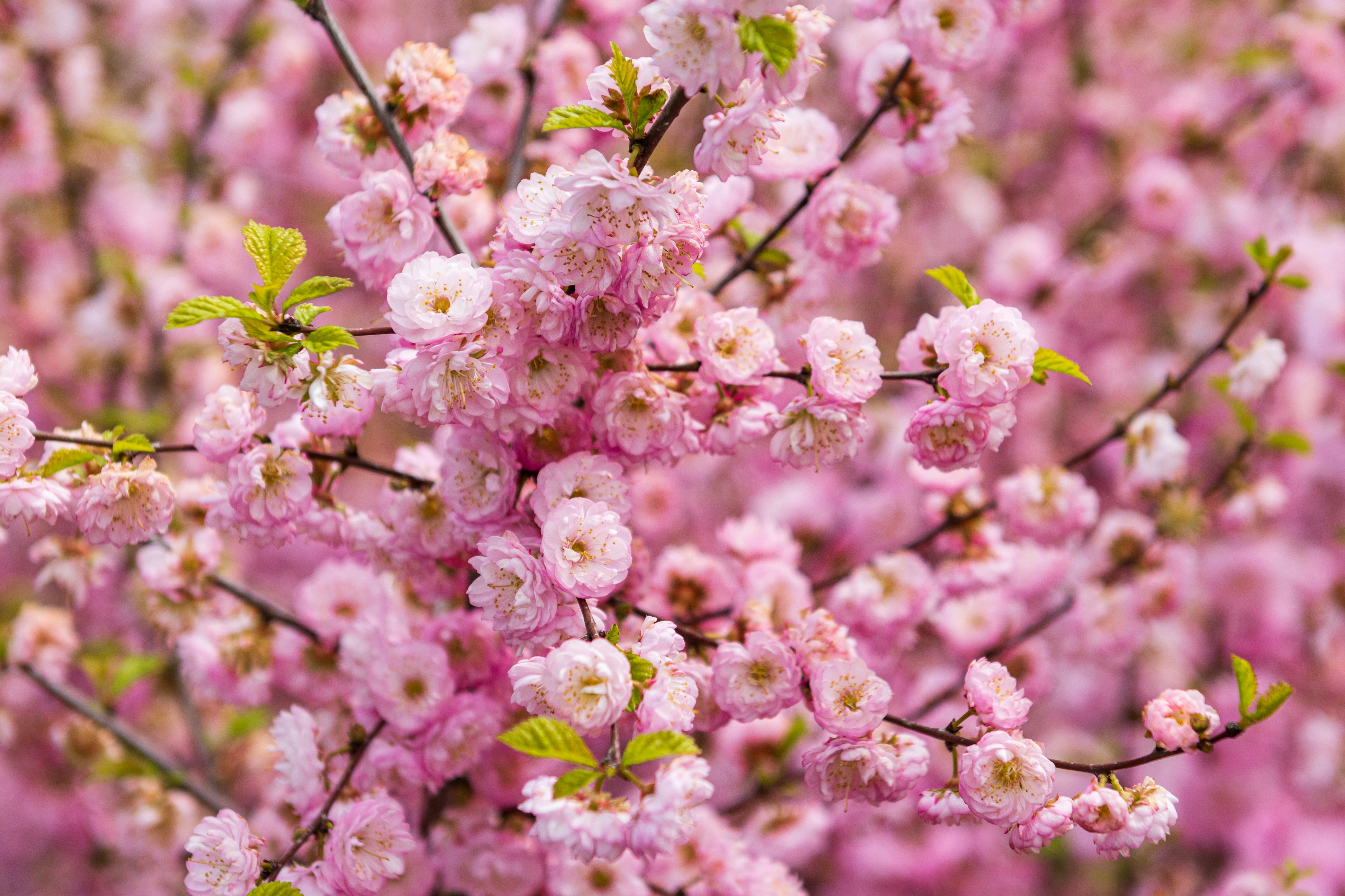 Photo by lipetskaya_zemlya