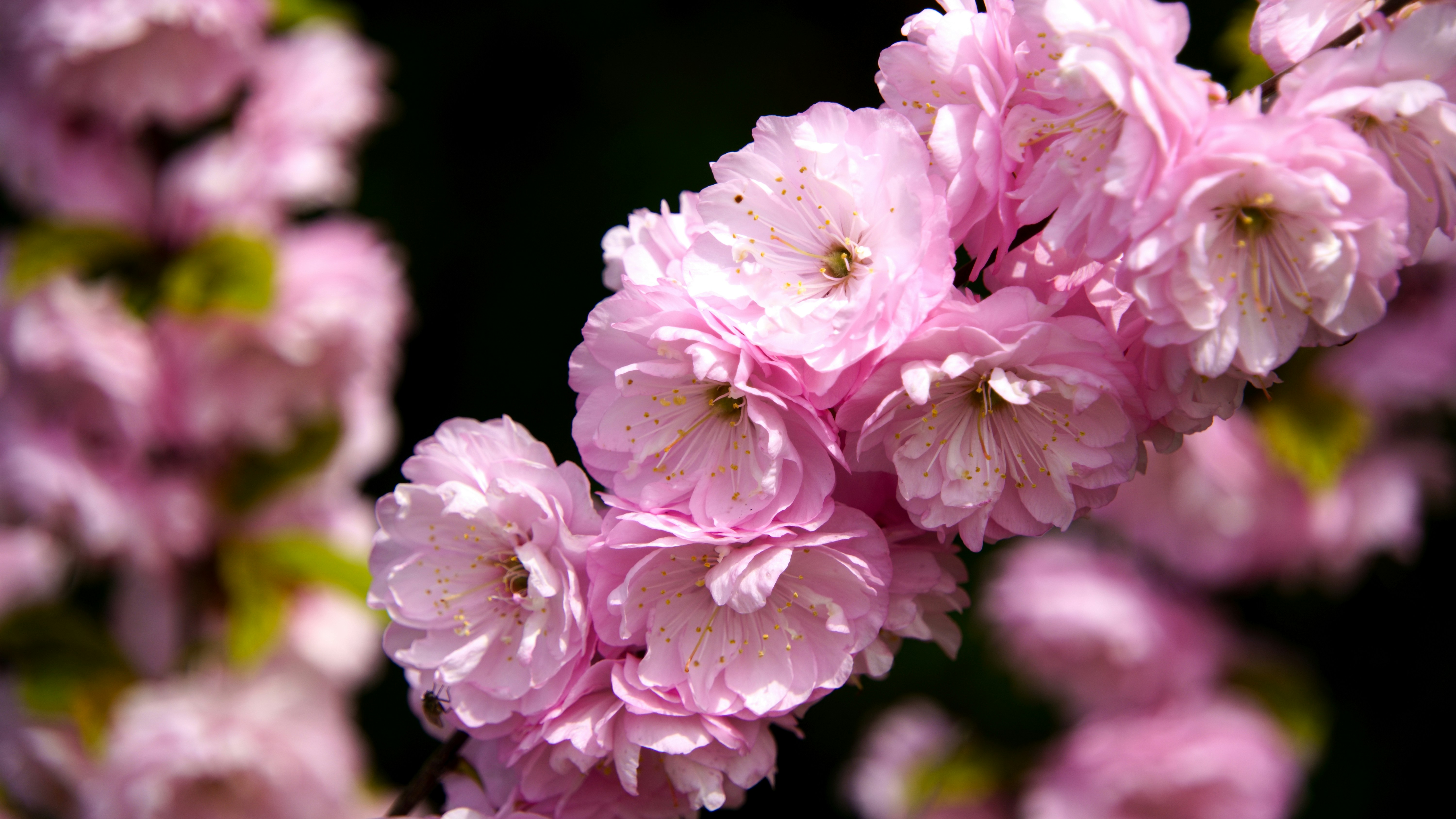 Photo by lipetskaya_zemlya