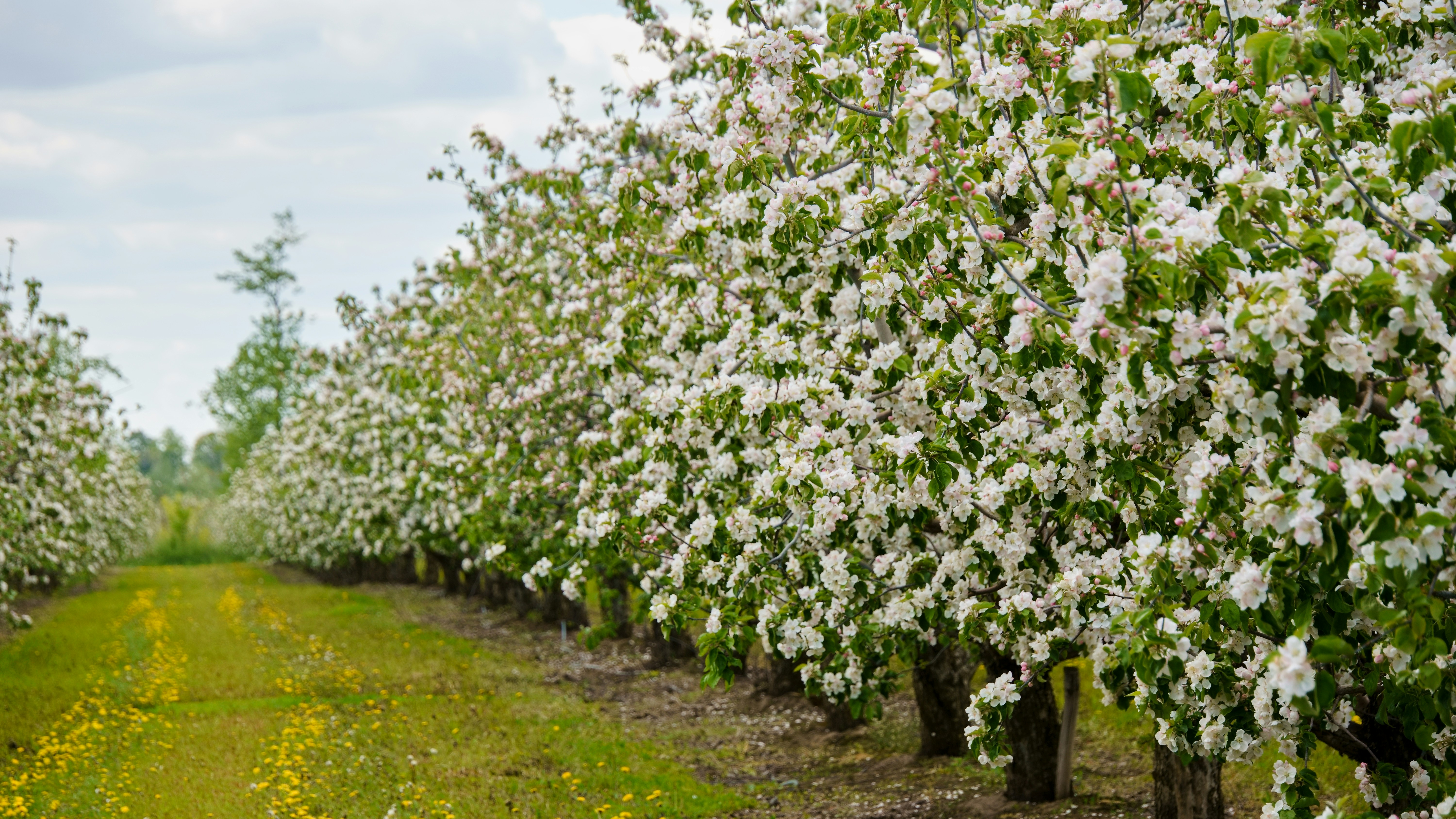 Photo by lipetskaya_zemlya