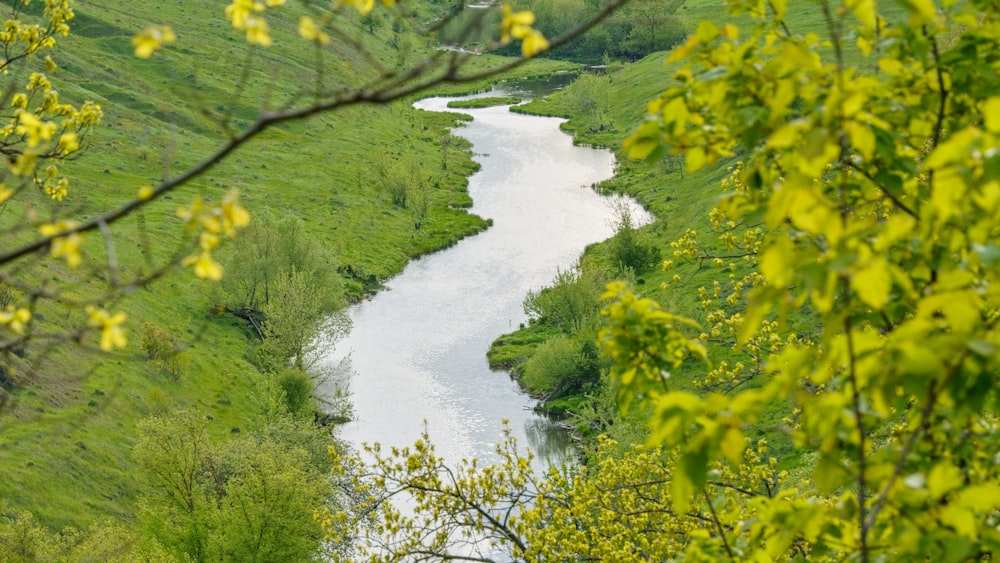 a river running through a lush green countryside