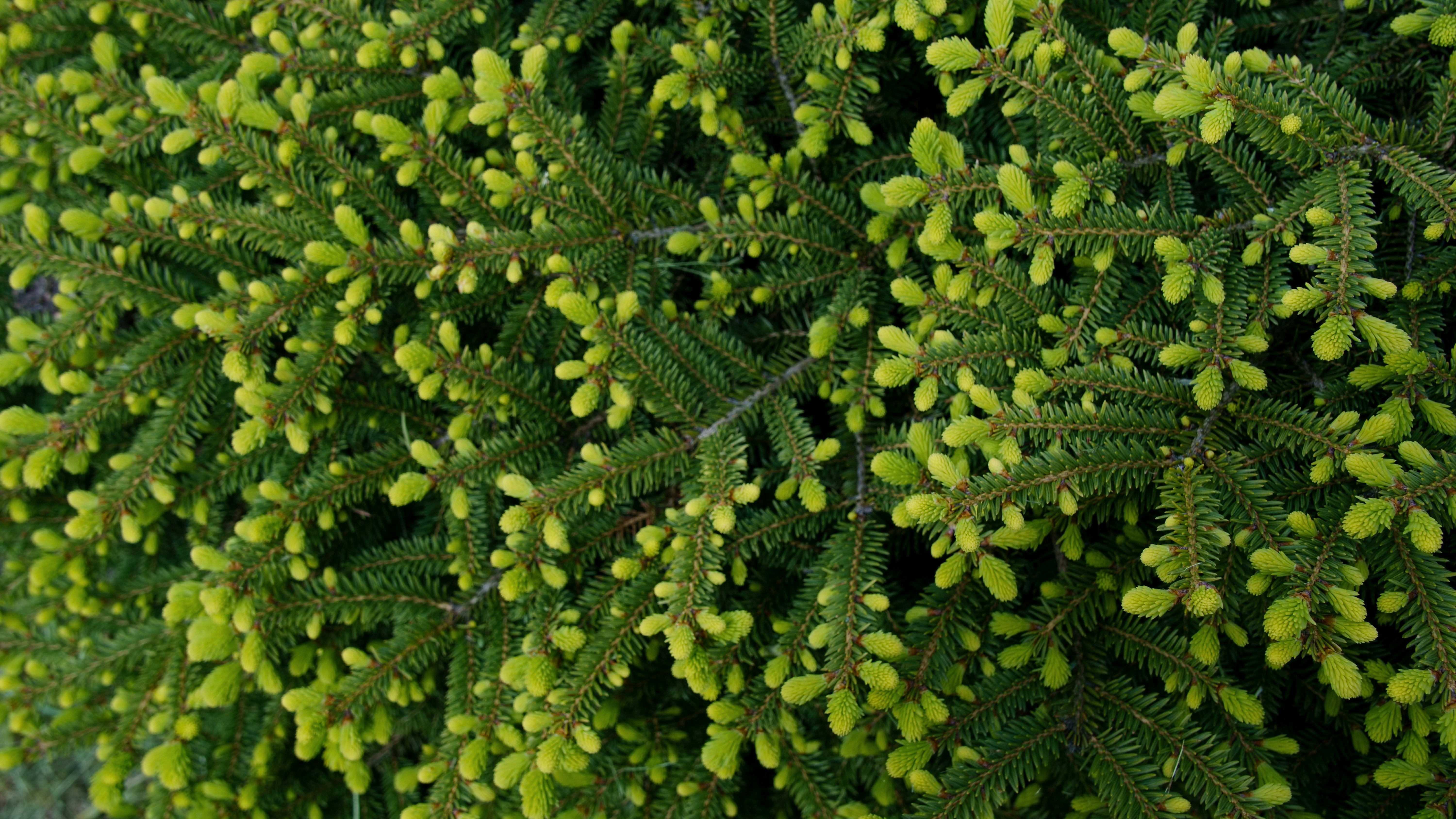 Photo by lipetskaya_zemlya